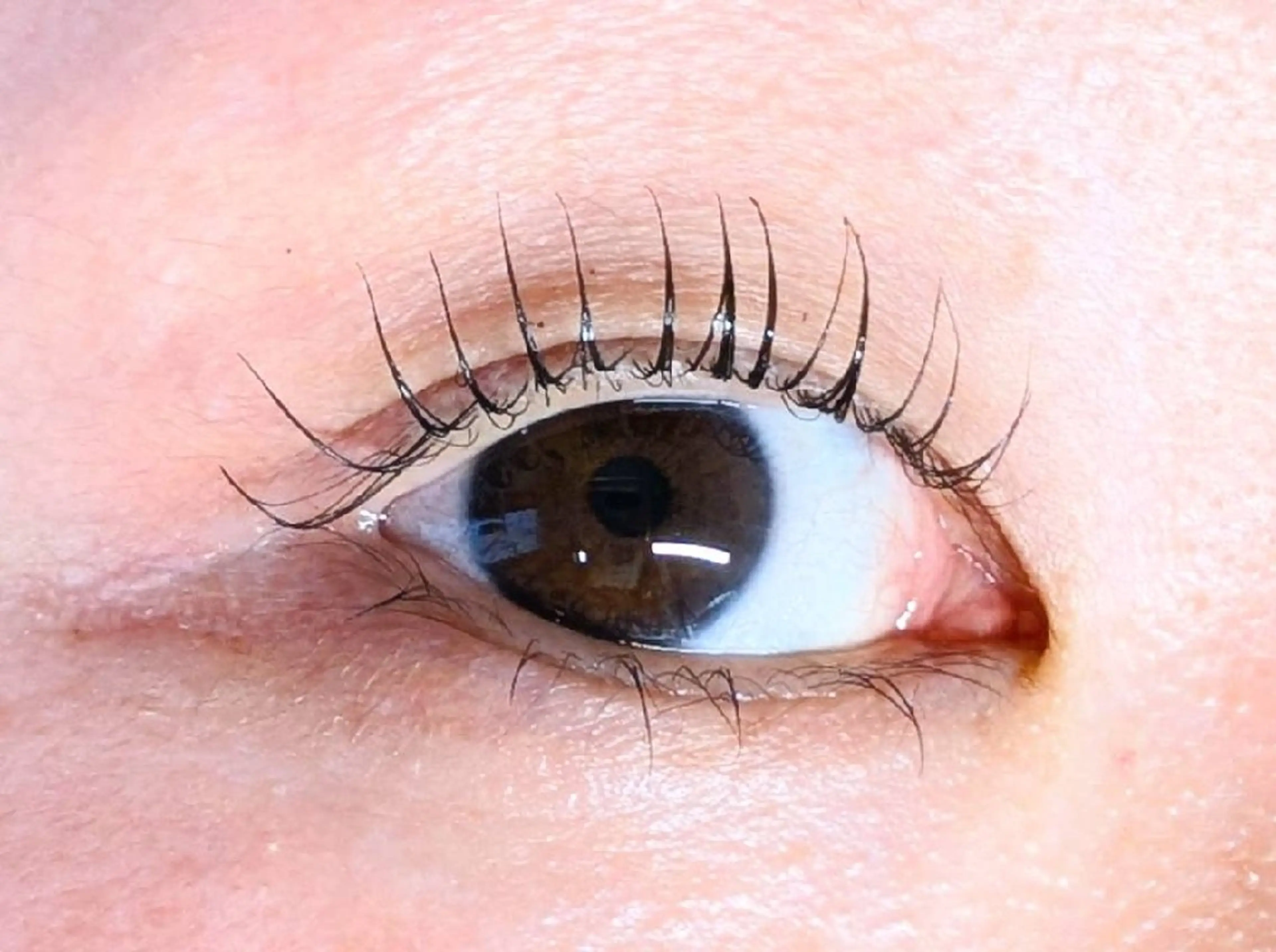 マツエク・マツパ マツパ utile eyelashのマツエク・マツパデザイン