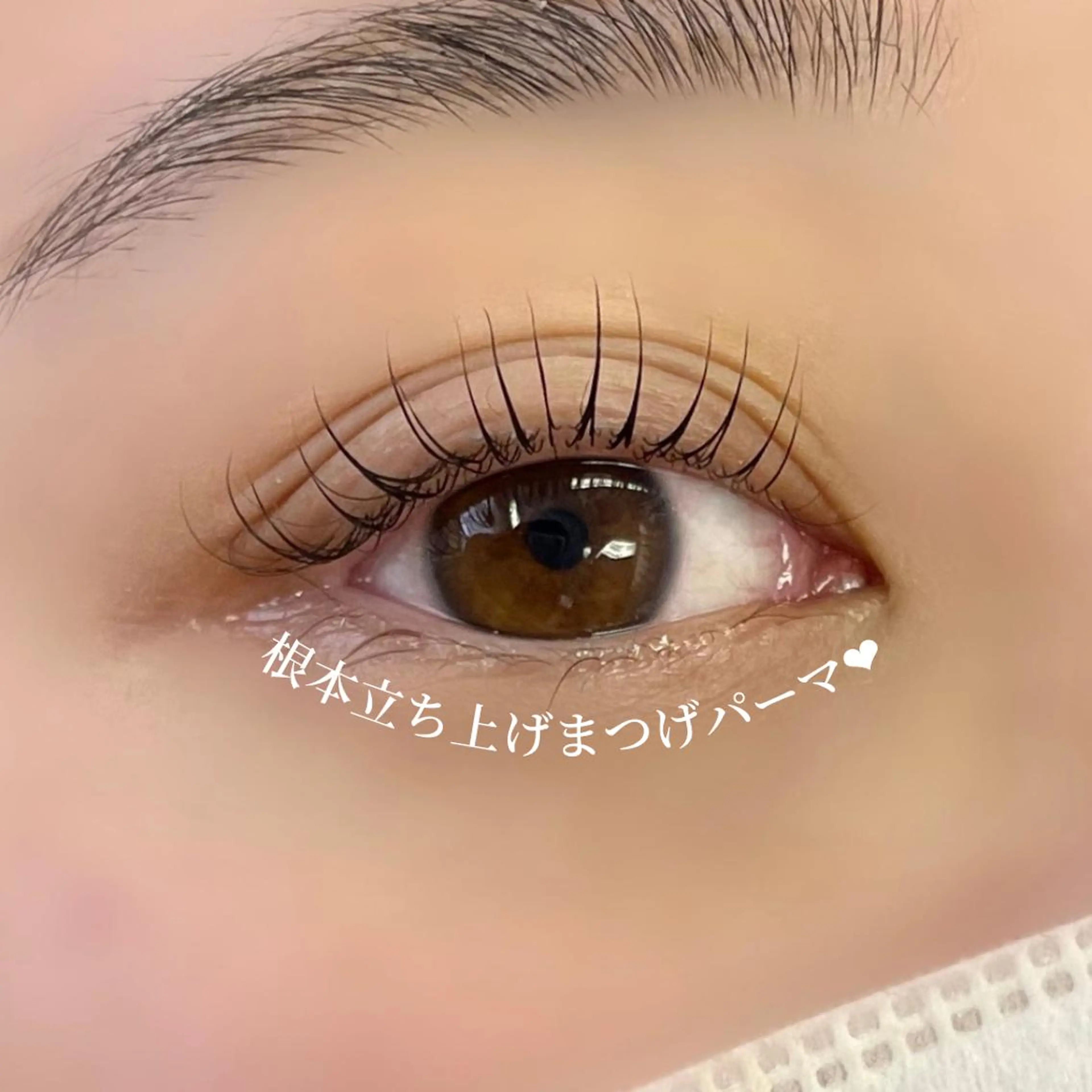 マツエク・マツパ マツパ 大阪福島韓国束感まつ げ Sayaka🤍のマツエク・マツパデザイン