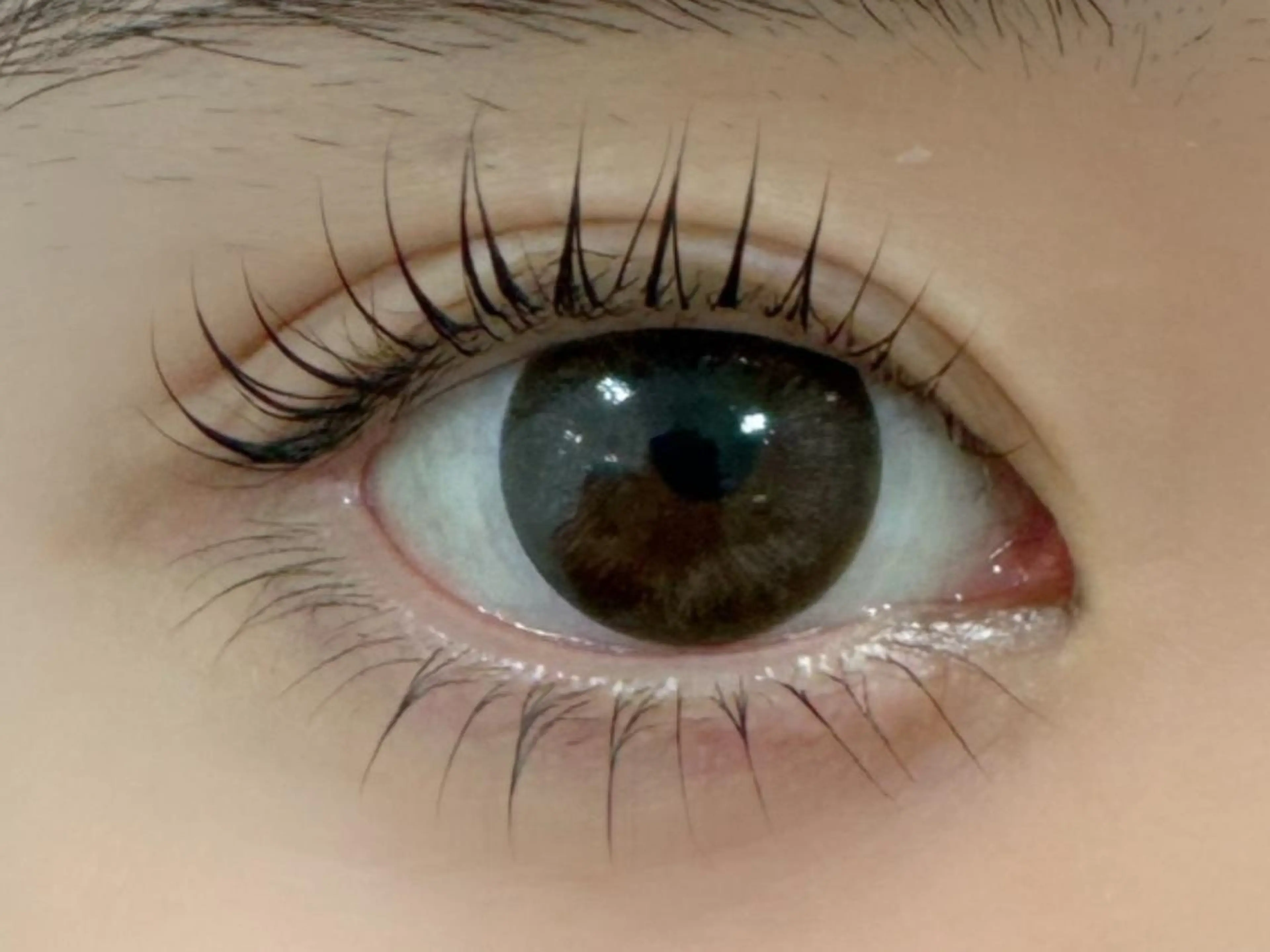 マツエク・マツパ Mian 津田沼のマツエク・マツパデザイン