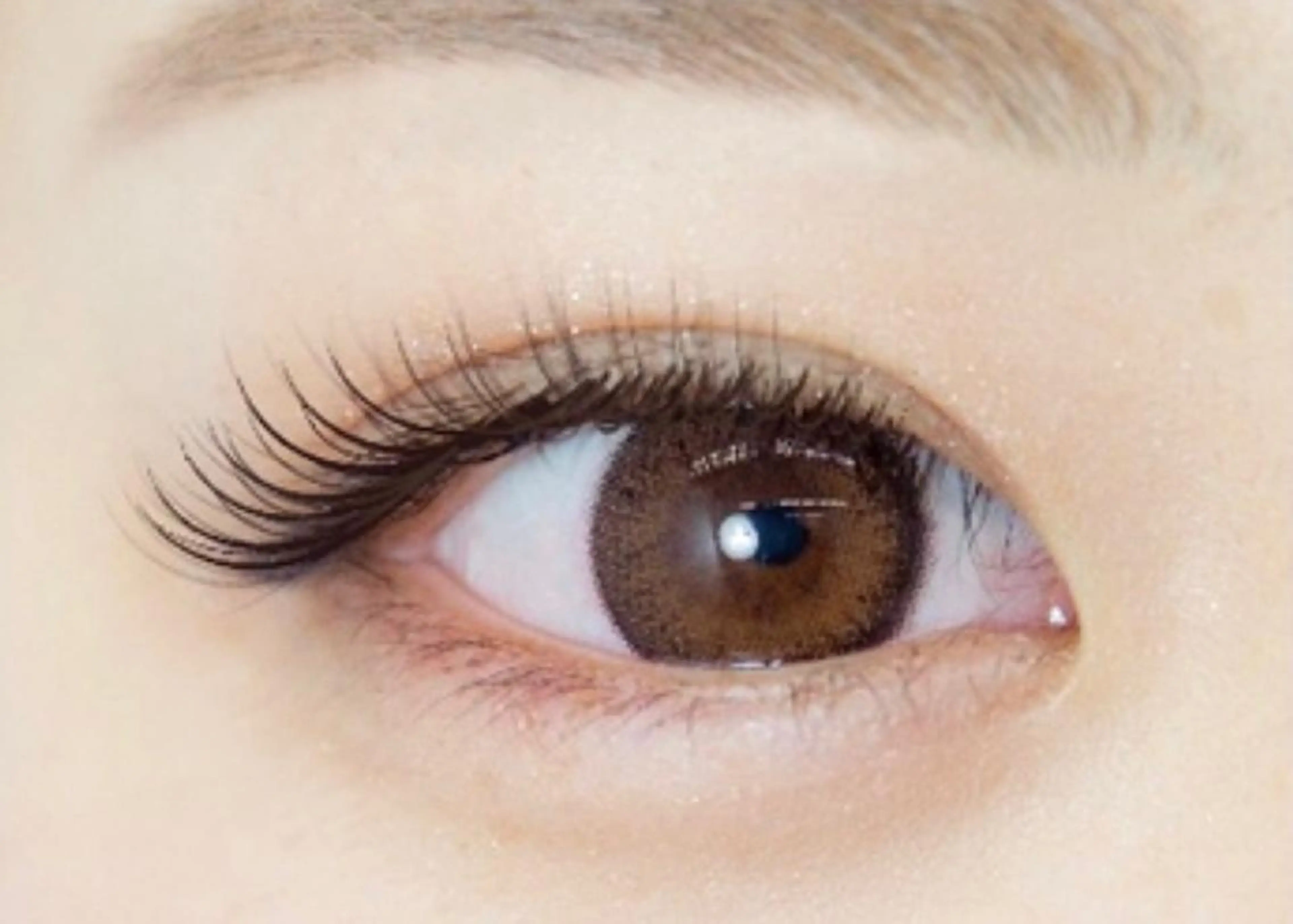 💛セーブルラッシュ120本まで💛の写真