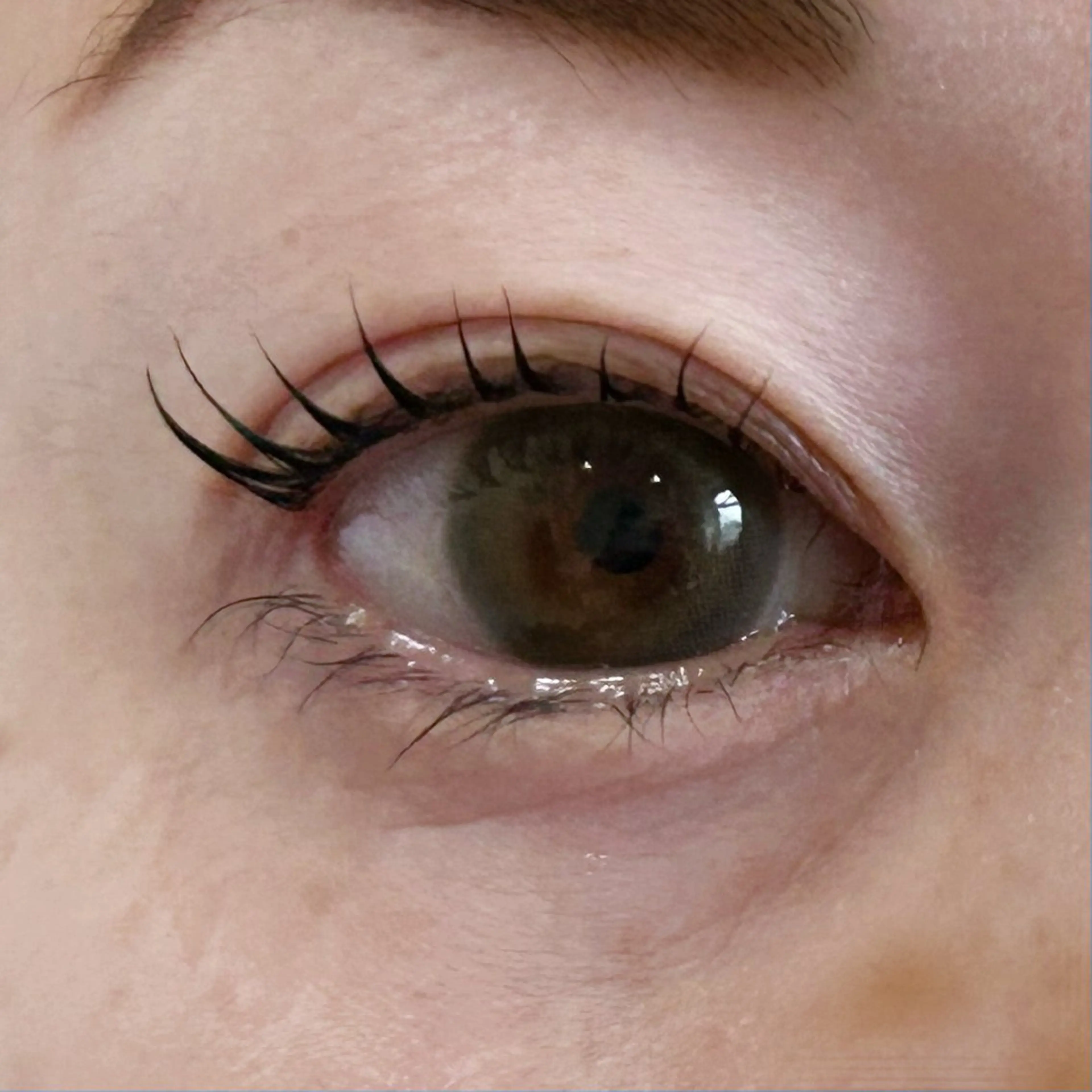 マツエク・マツパ まつげパーマ 【lino】/内田 愛海🌻のマツエク・マツパデザイン