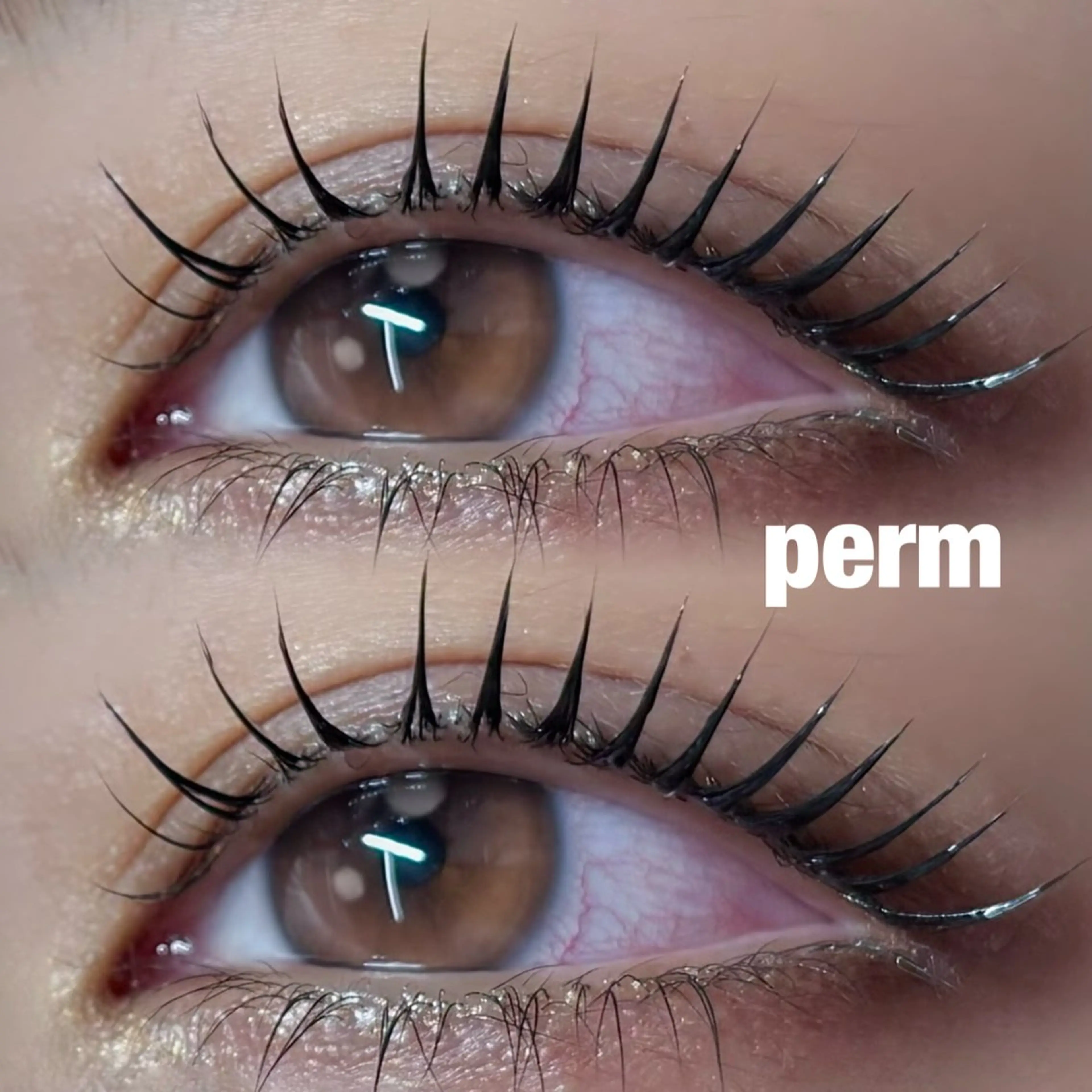 マツエク・マツパ フラットラッシュ 一重×まつ毛パーマ マツパ 🌈iolo ishida🌈のマツエク・マツパデザイン