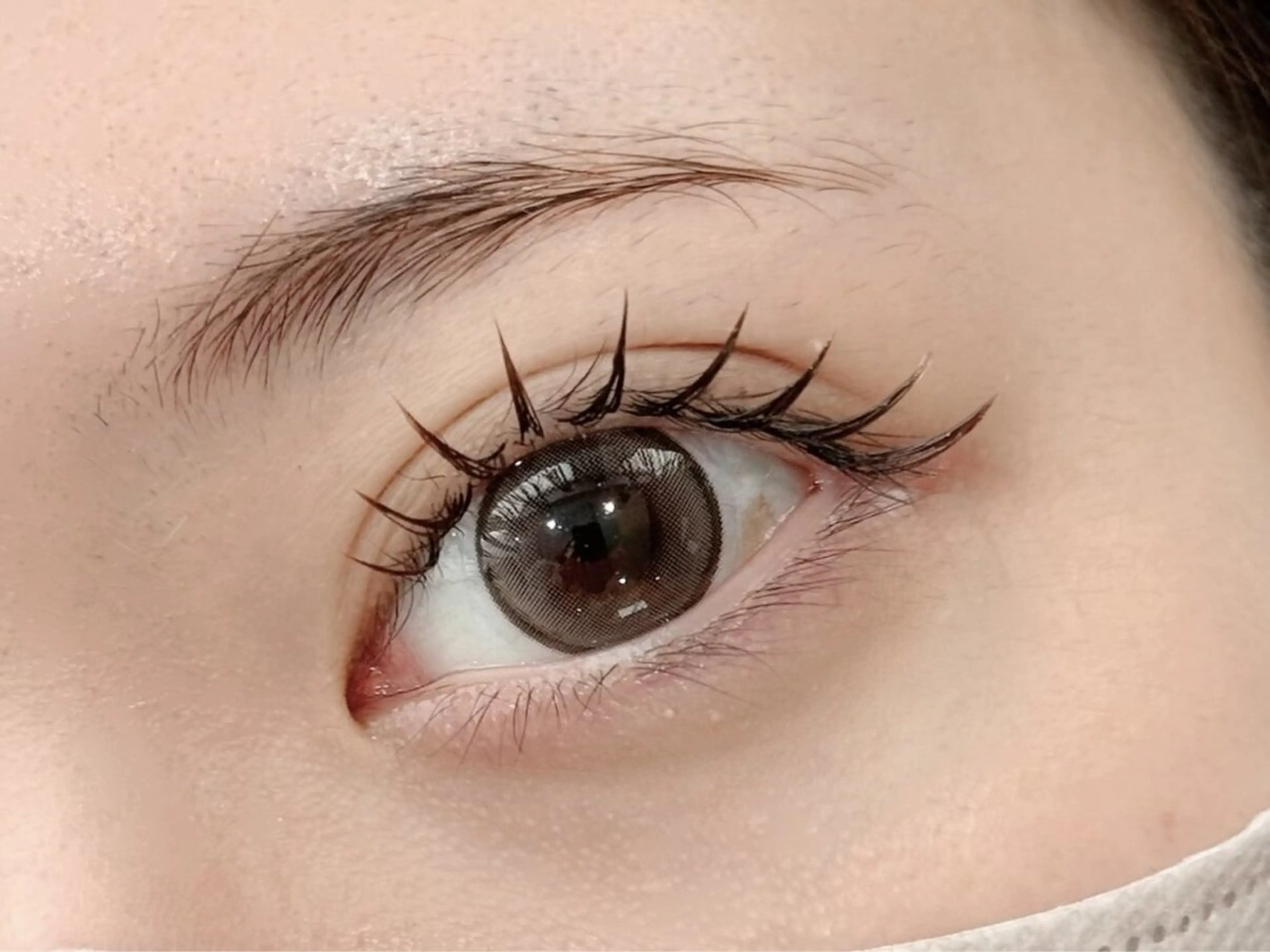 《学割U24》持続力No.1◎Wフラット60束の写真