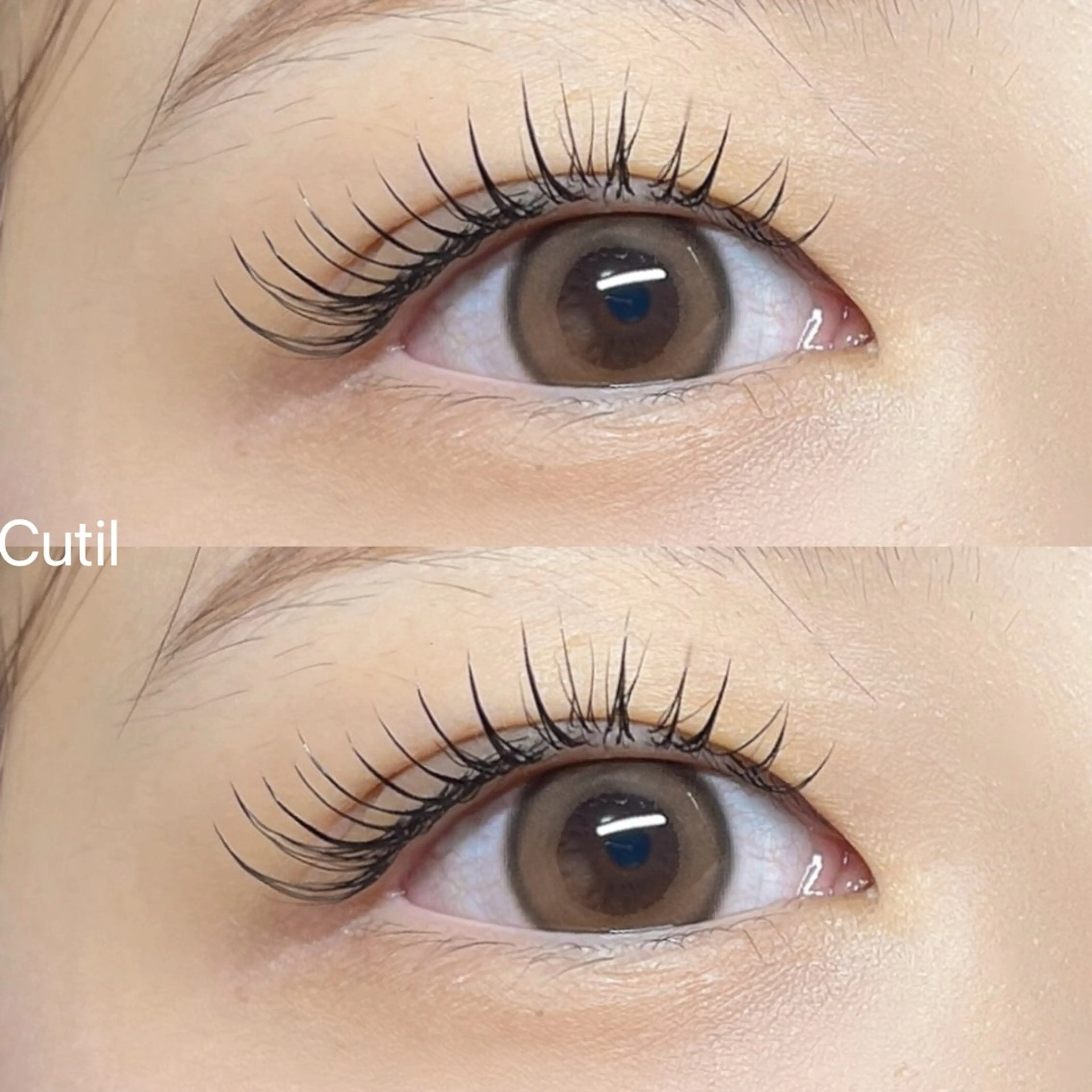 マツエク・マツパ マツエク Cutil . eyelash 🍊のマツエク・マツパデザイン