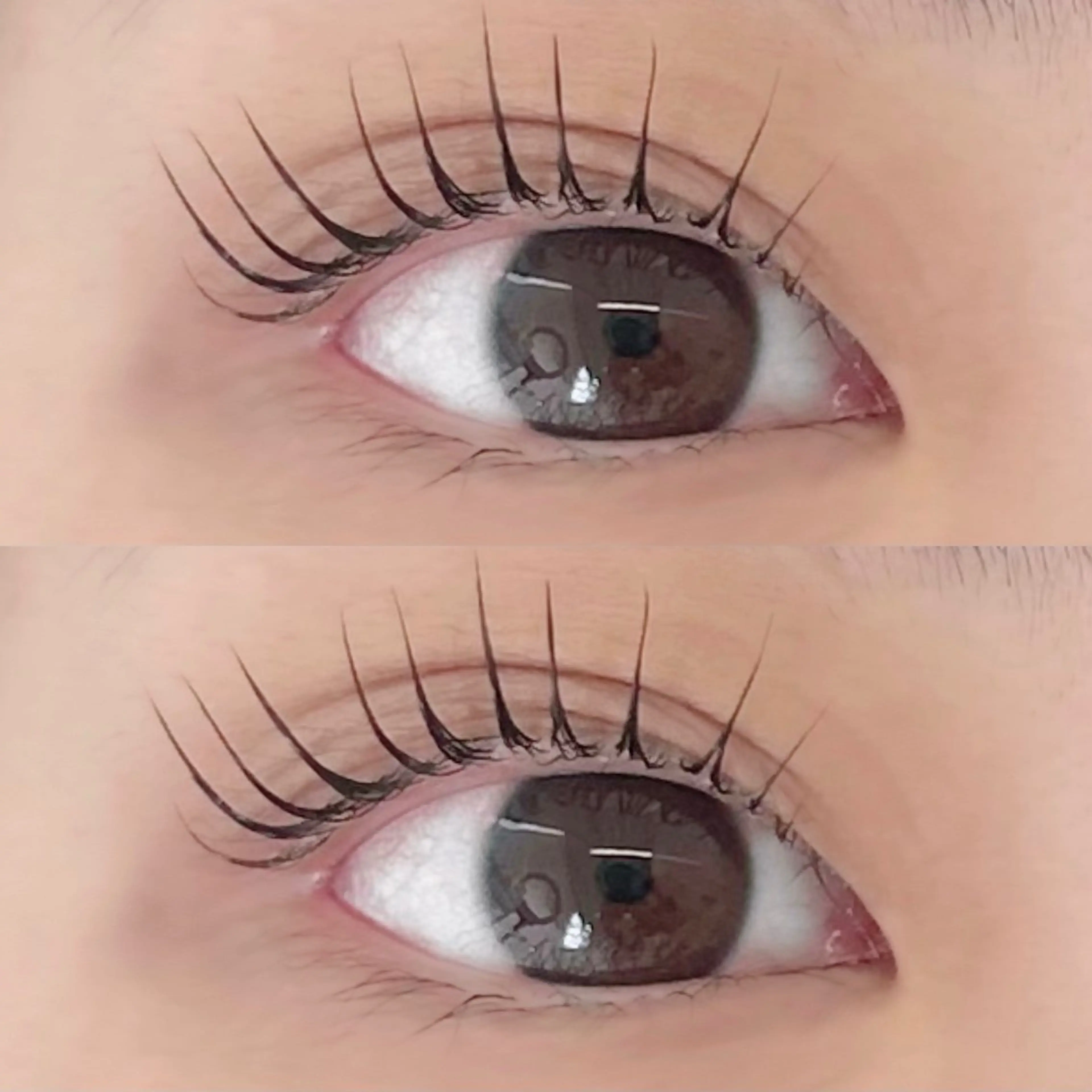 マツエク・マツパ amii大通/マツパ /木村🐻❄️のマツエク・マツパデザイン