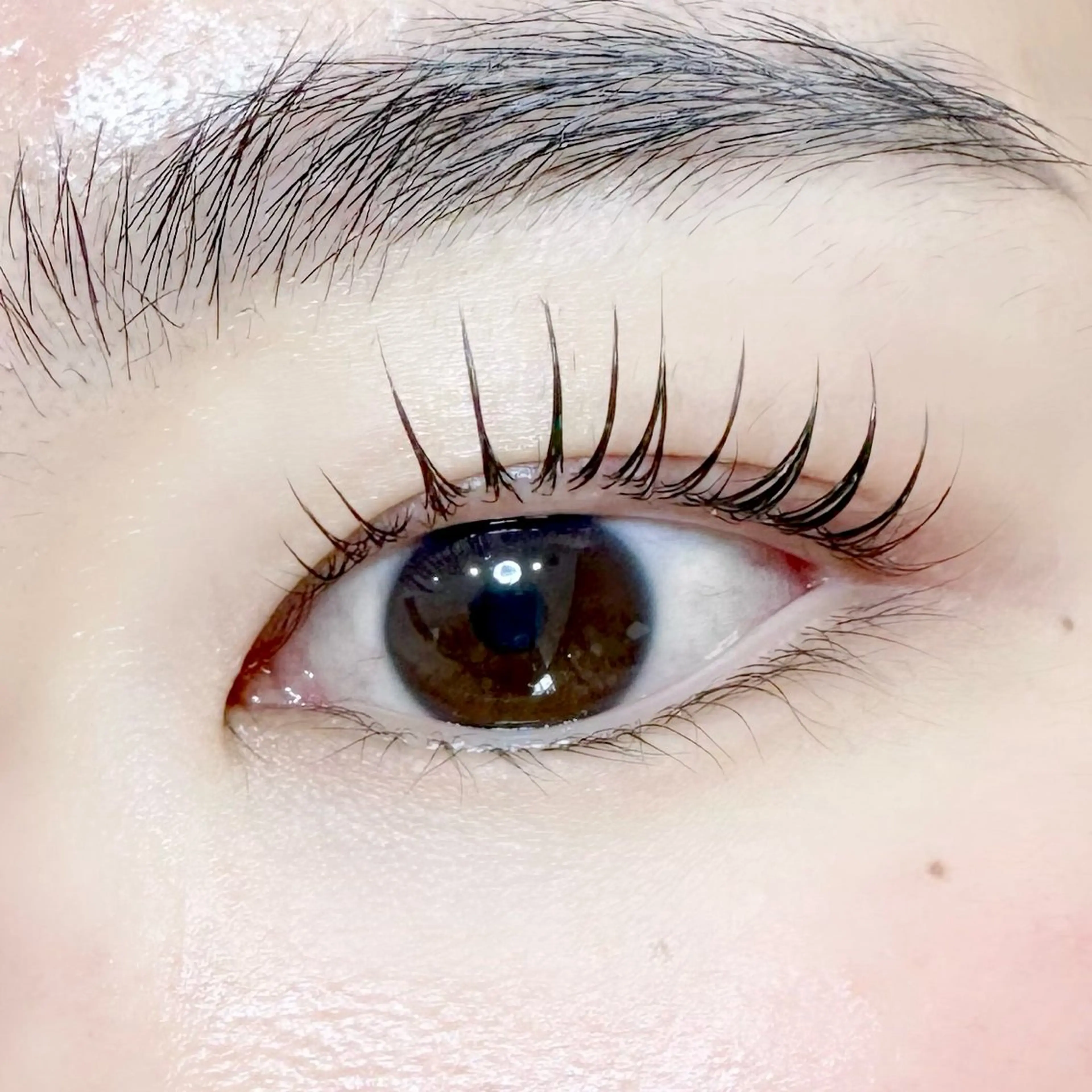 マツエク・マツパ まつげパーマ サロン ド フォース 西船橋店/伊藤のマツエク・マツパデザイン