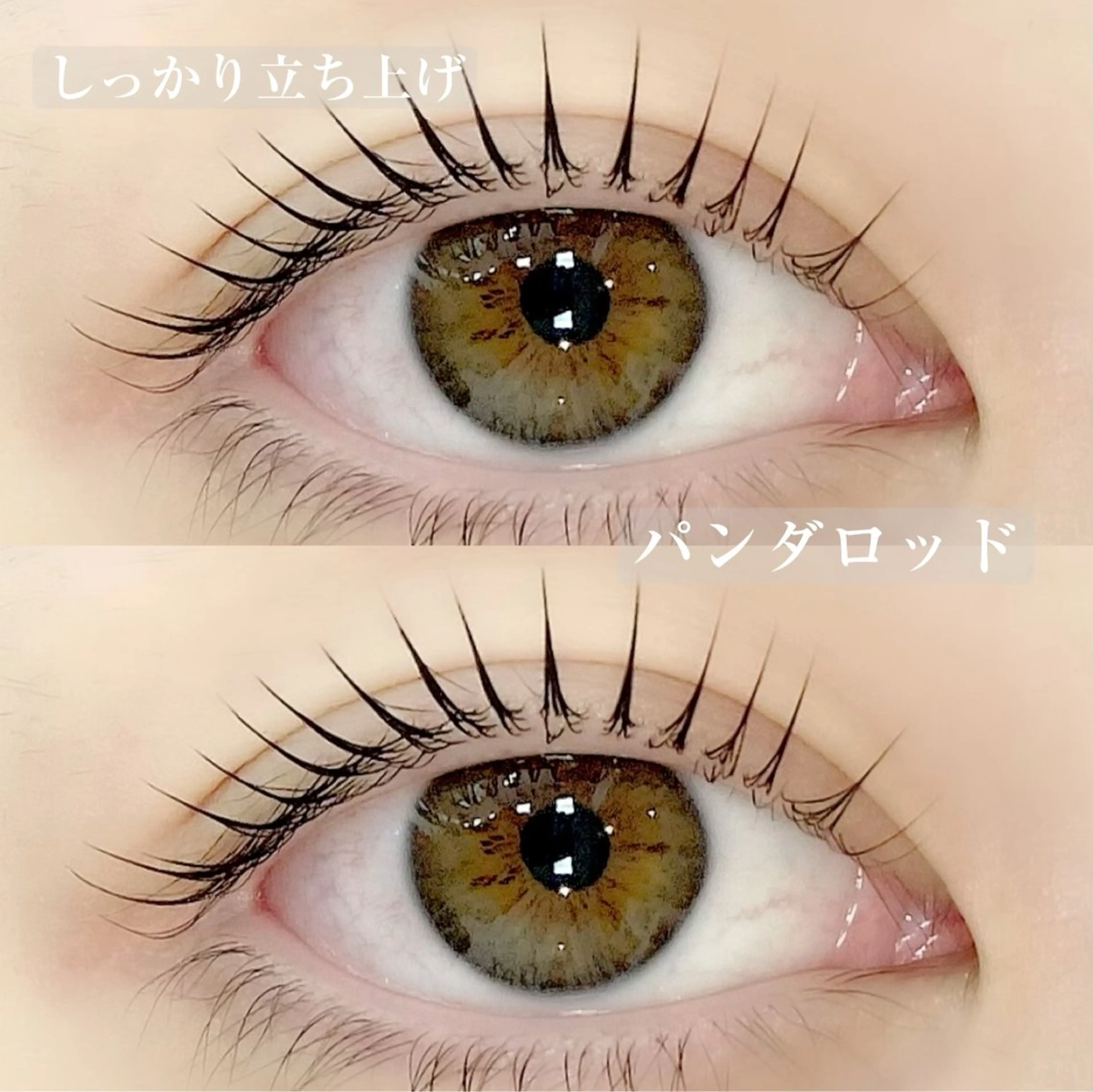 マツエク・マツパ アルターエクラ 飯島のマツエク・マツパデザイン