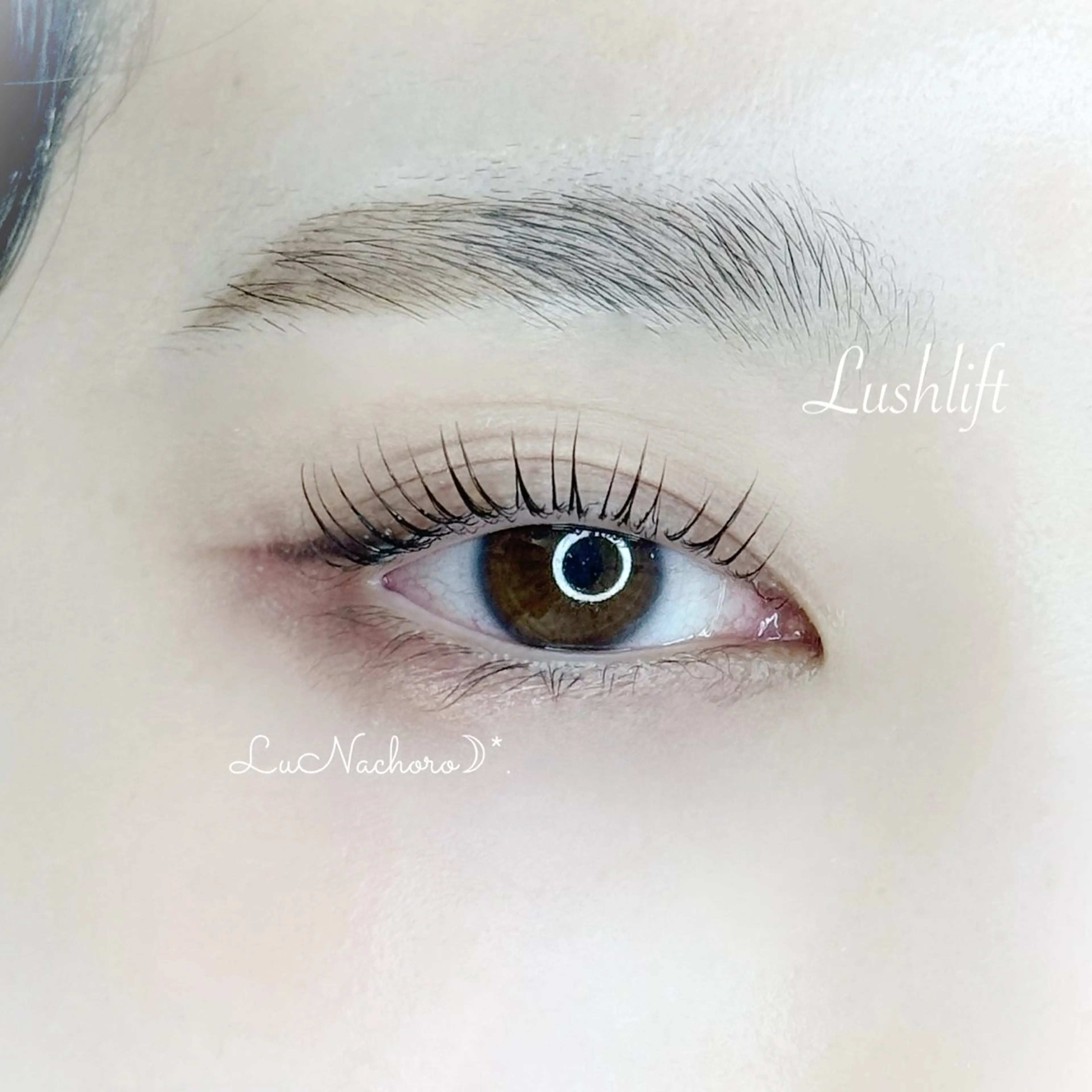 マツエク・マツパ マツパ Jessica荻窪 🌙山下のマツエク・マツパデザイン