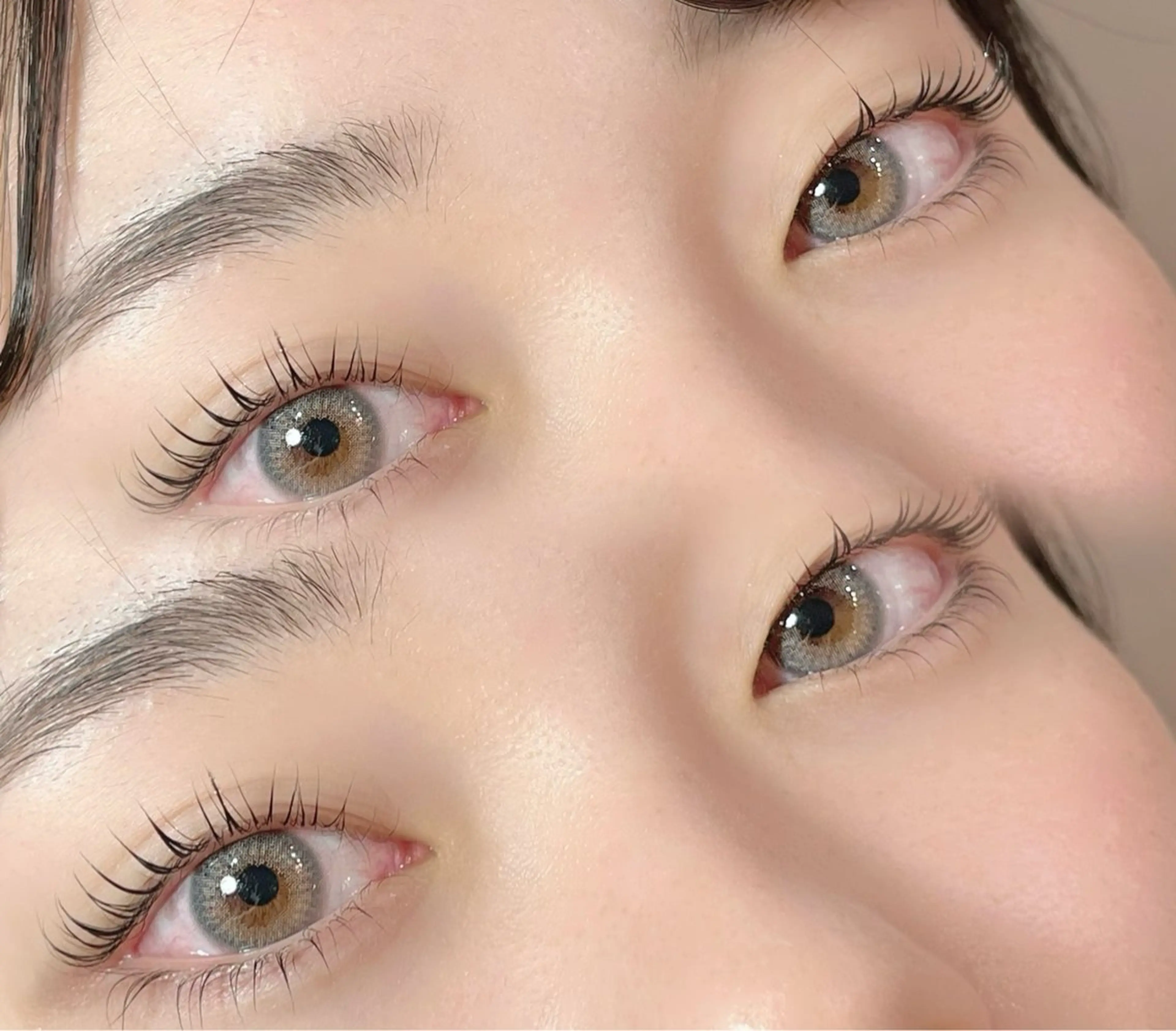 🧼上下ラッシュリフト🧼コーティング付き🪄の写真