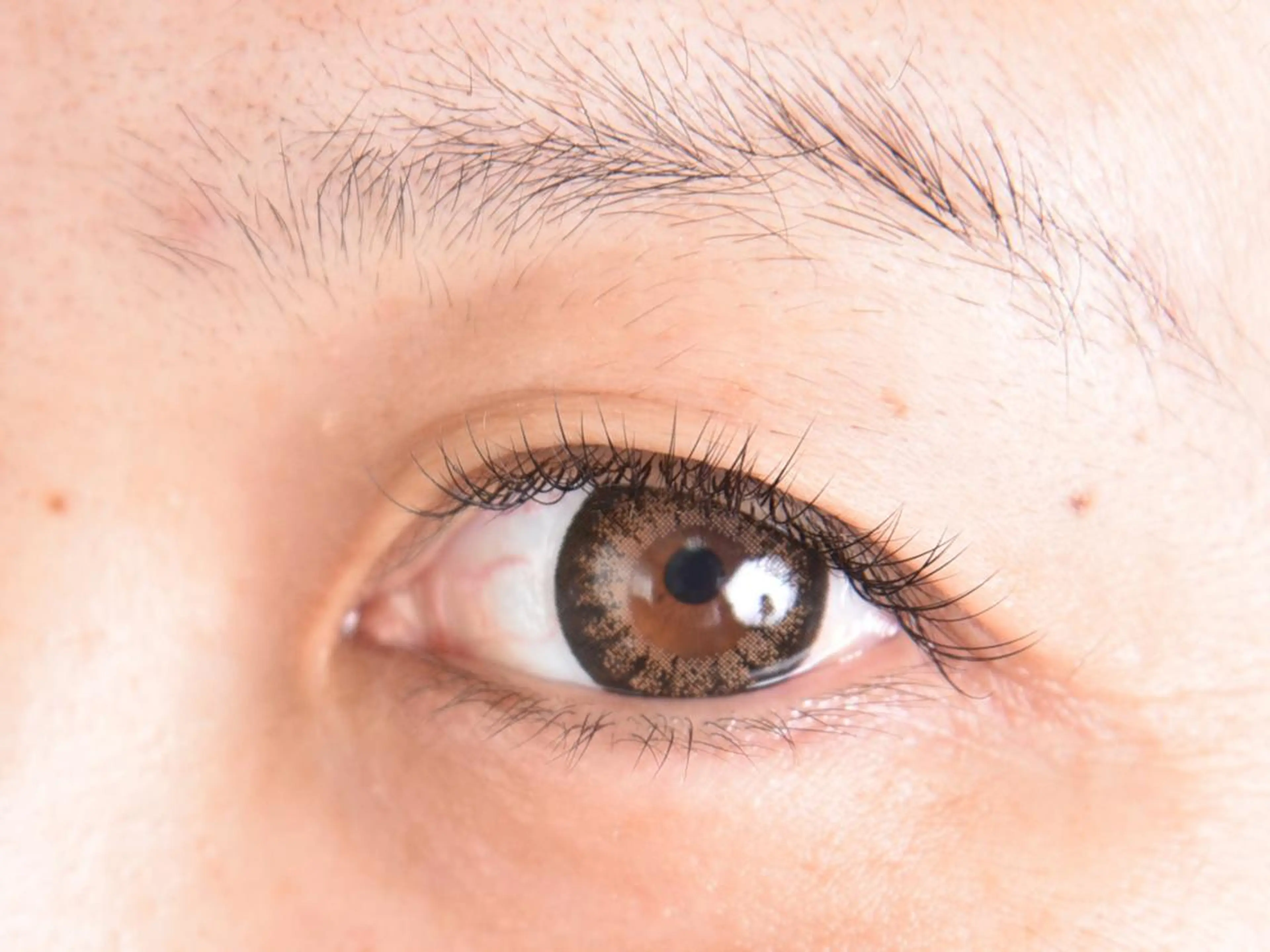 【初回ミニモ限定】 🌸【次世代まつ毛パーマ】ケラチンラッシュリフトの写真