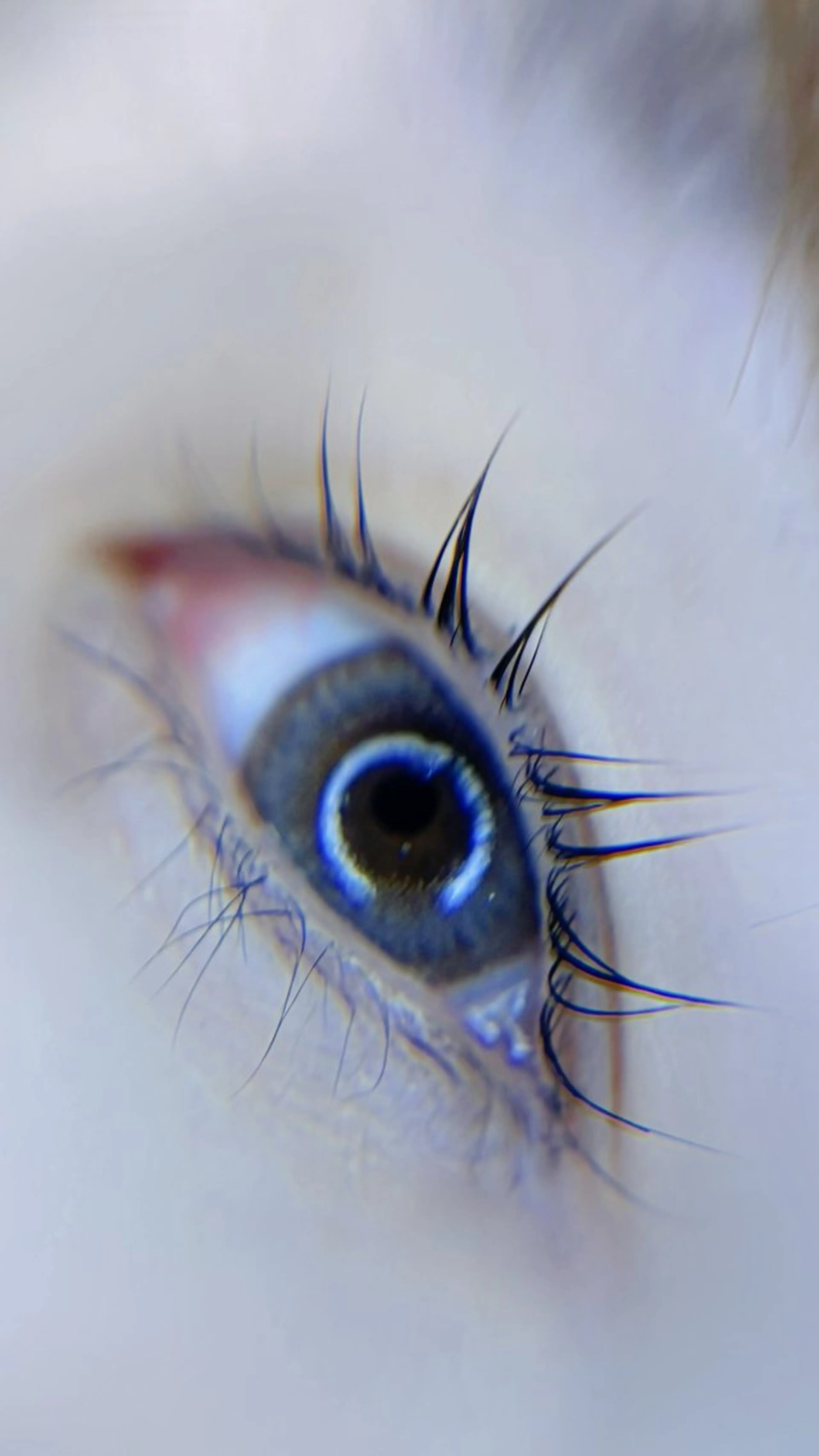 マツエク・マツパ ar keikoのマツエク・マツパデザイン