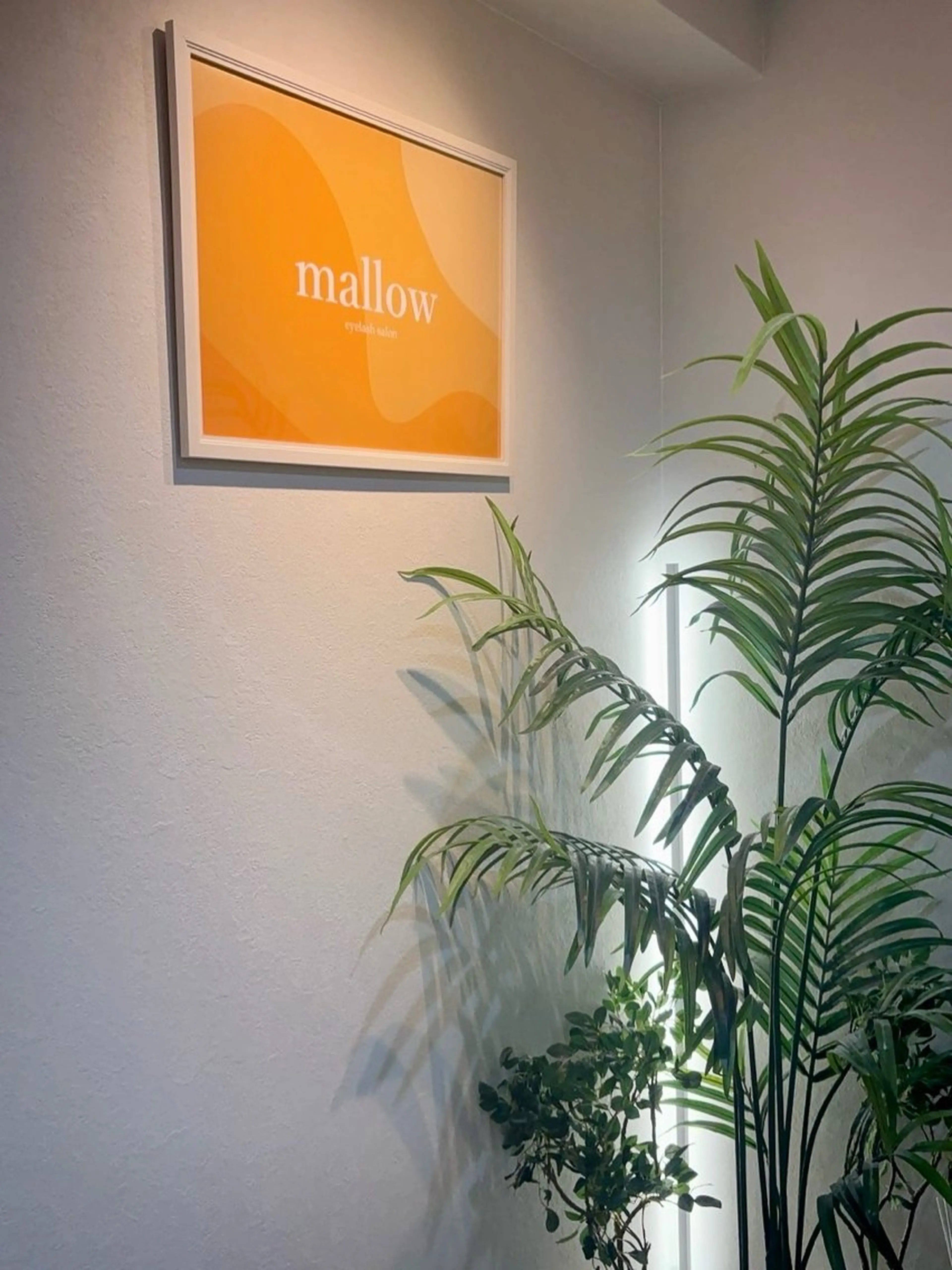 マツエク・マツパ mallow🤍 sakiのマツエク・マツパデザイン