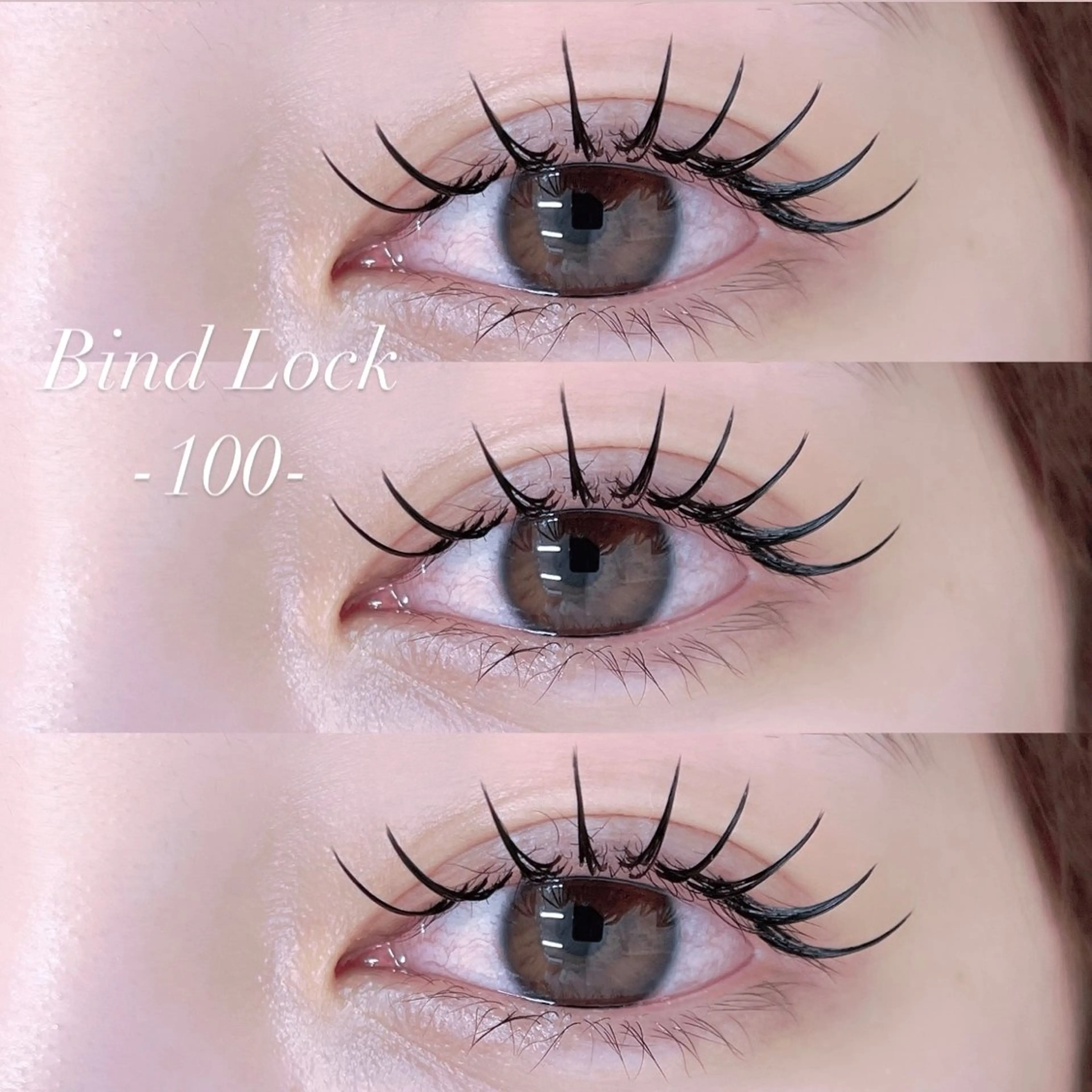 当日限定🪩バインドロック100束🪩の写真