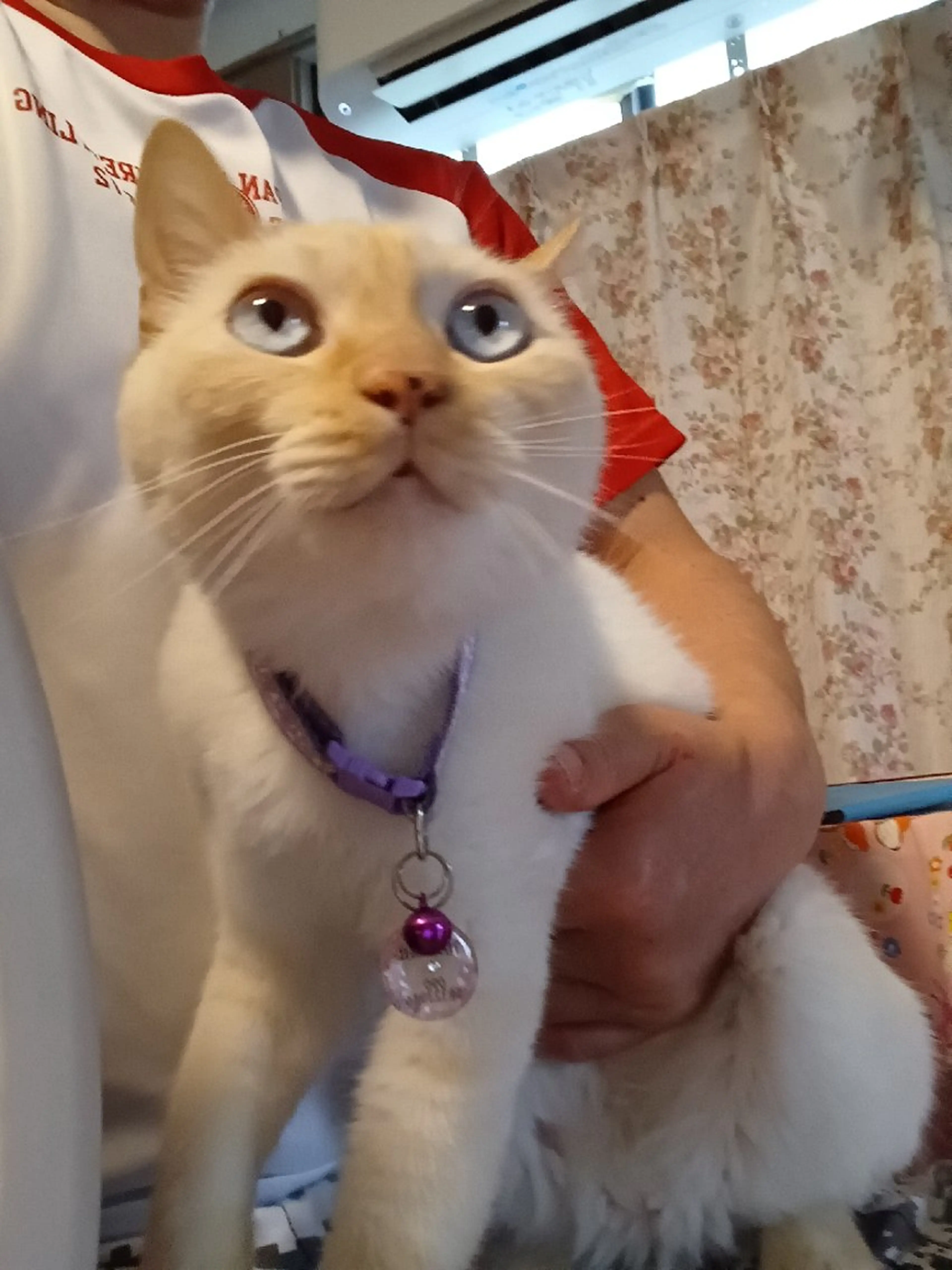 小野塚 充のエステ・リラクイメージ