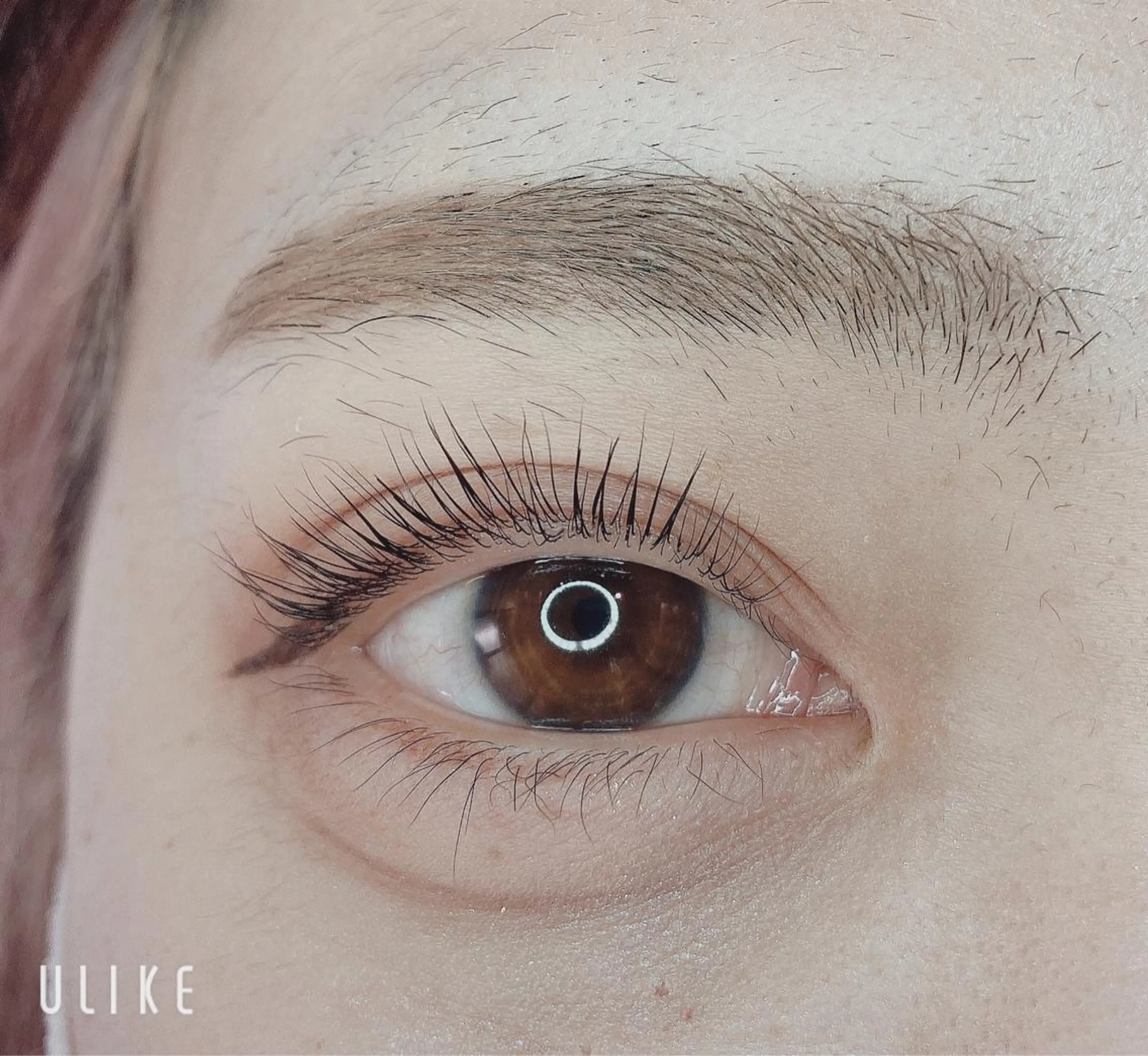 マツエク・マツパ TIARA池袋西口店 店長YASUKA💐のマツエク・マツパデザイン