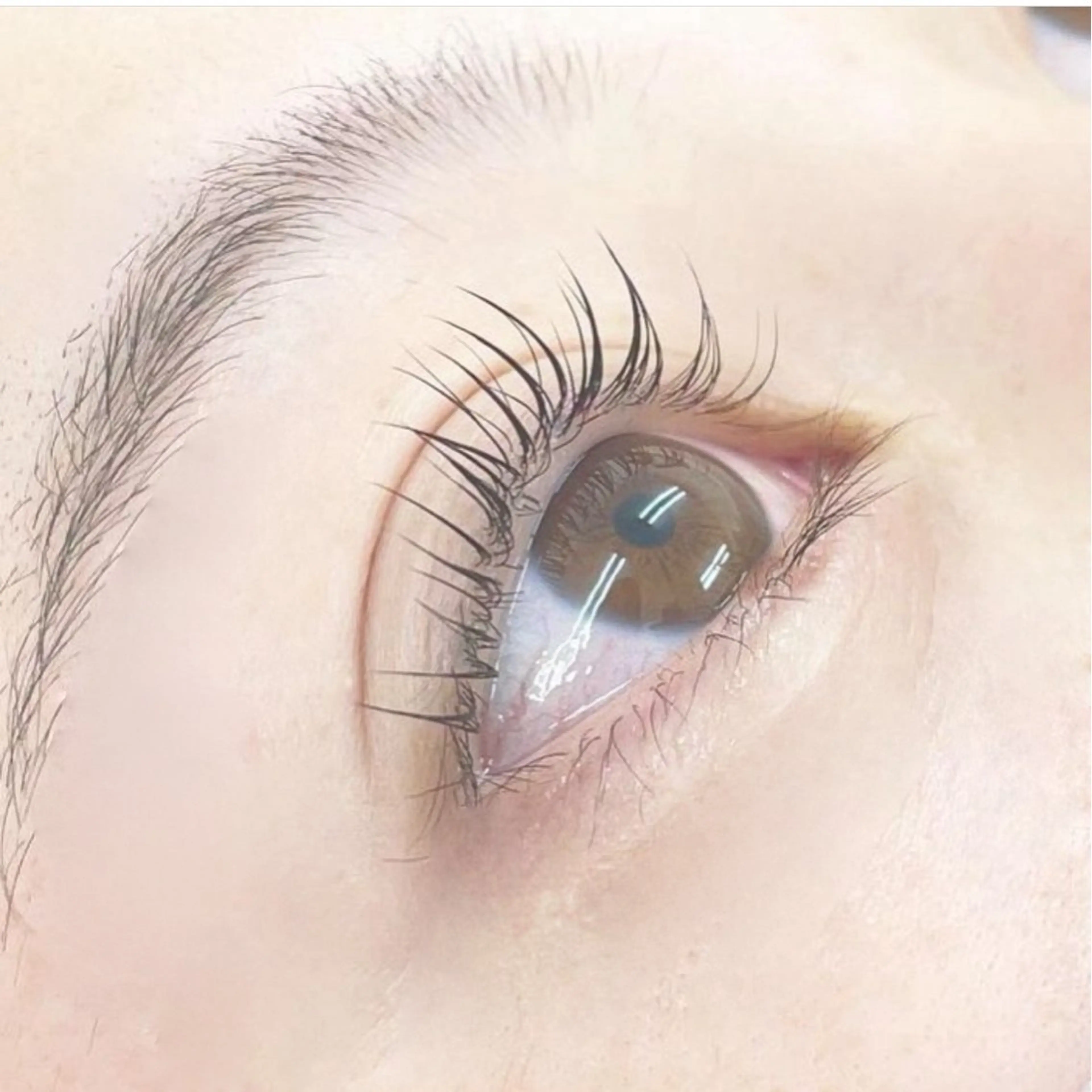 【ビューラー無しでぱっちり盛れる🪄︎︎】 まつ毛パーマ 🎀の写真