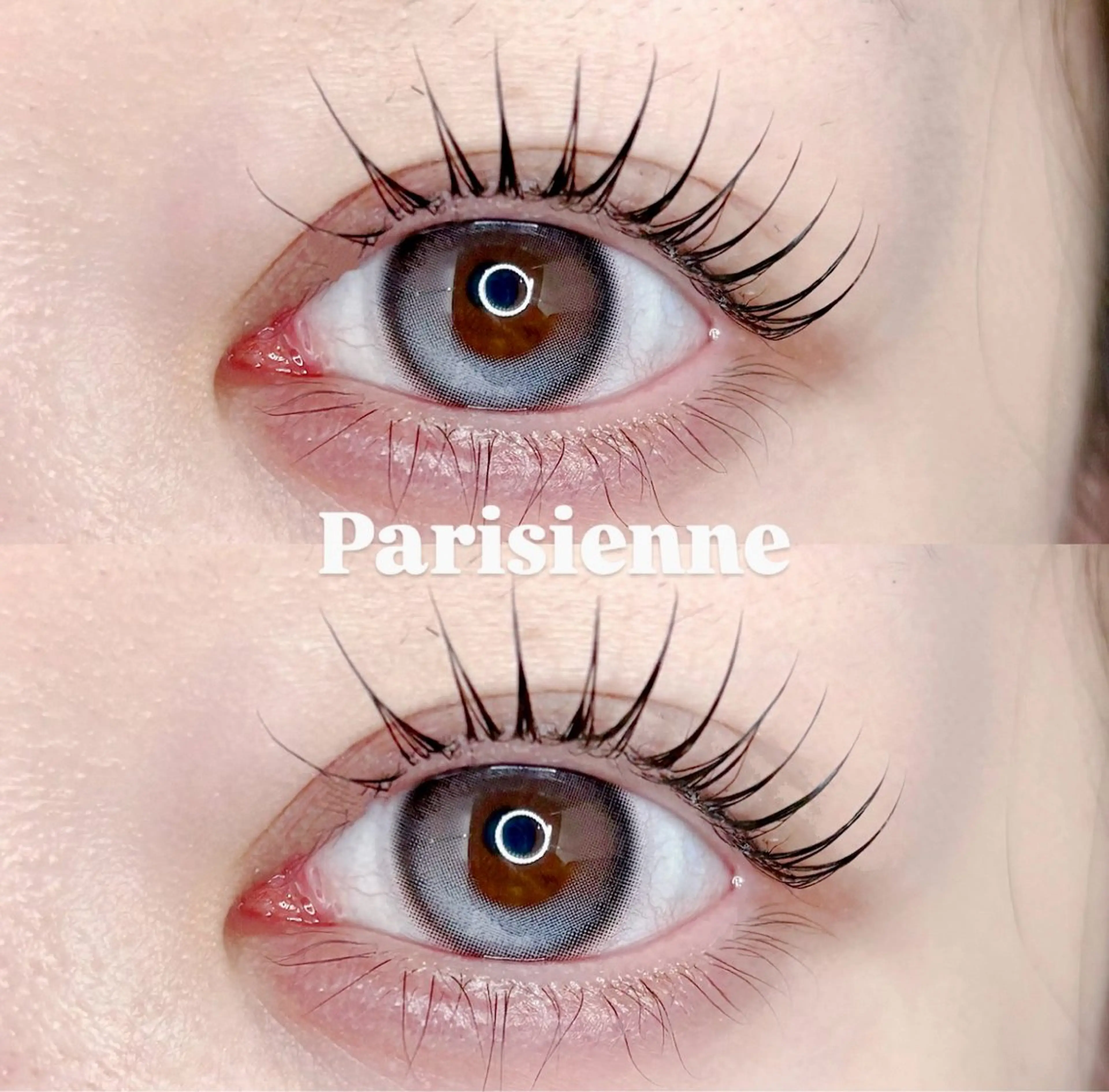 パリジェンヌ🦋の写真