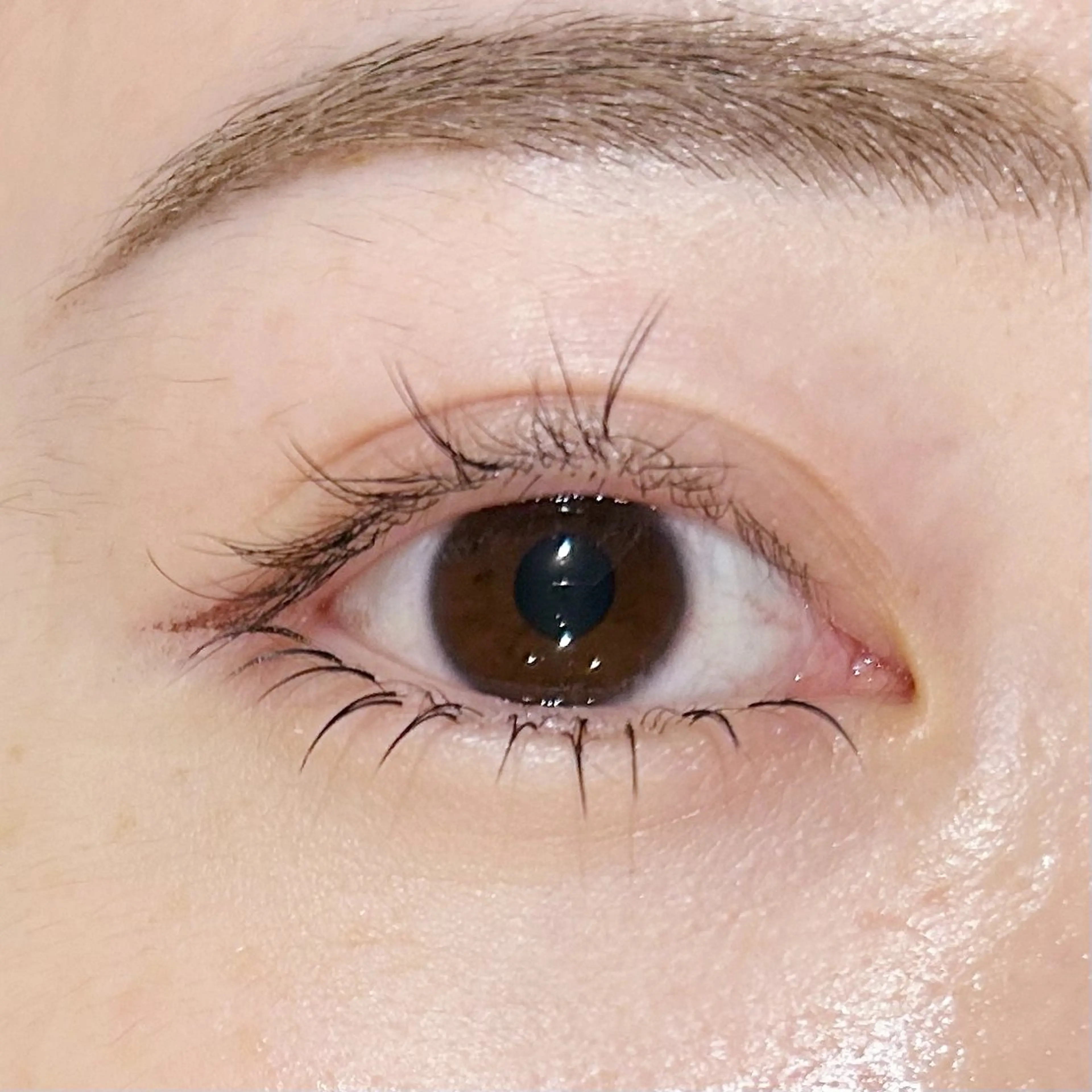 下まつげ40本の写真