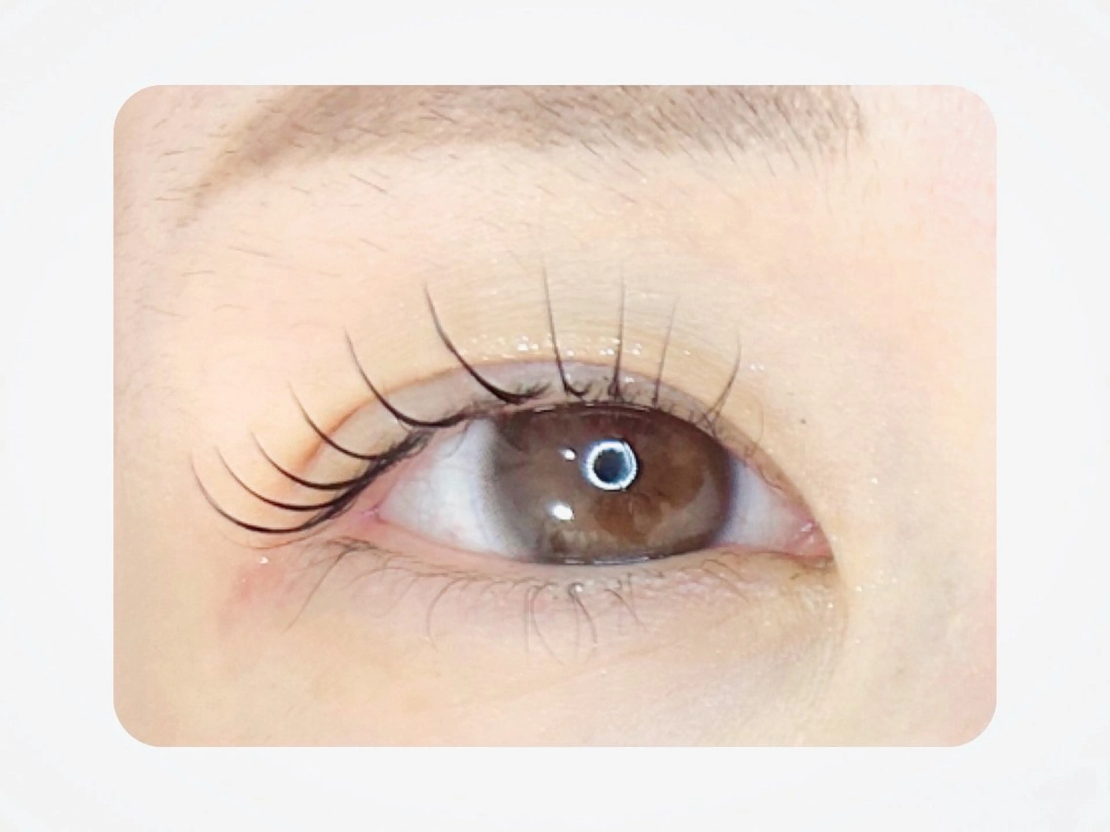 マツエク・マツパ マツパ Gluttony/ ｸﾞﾗﾄﾆｰ＊ユキのマツエク・マツパデザイン