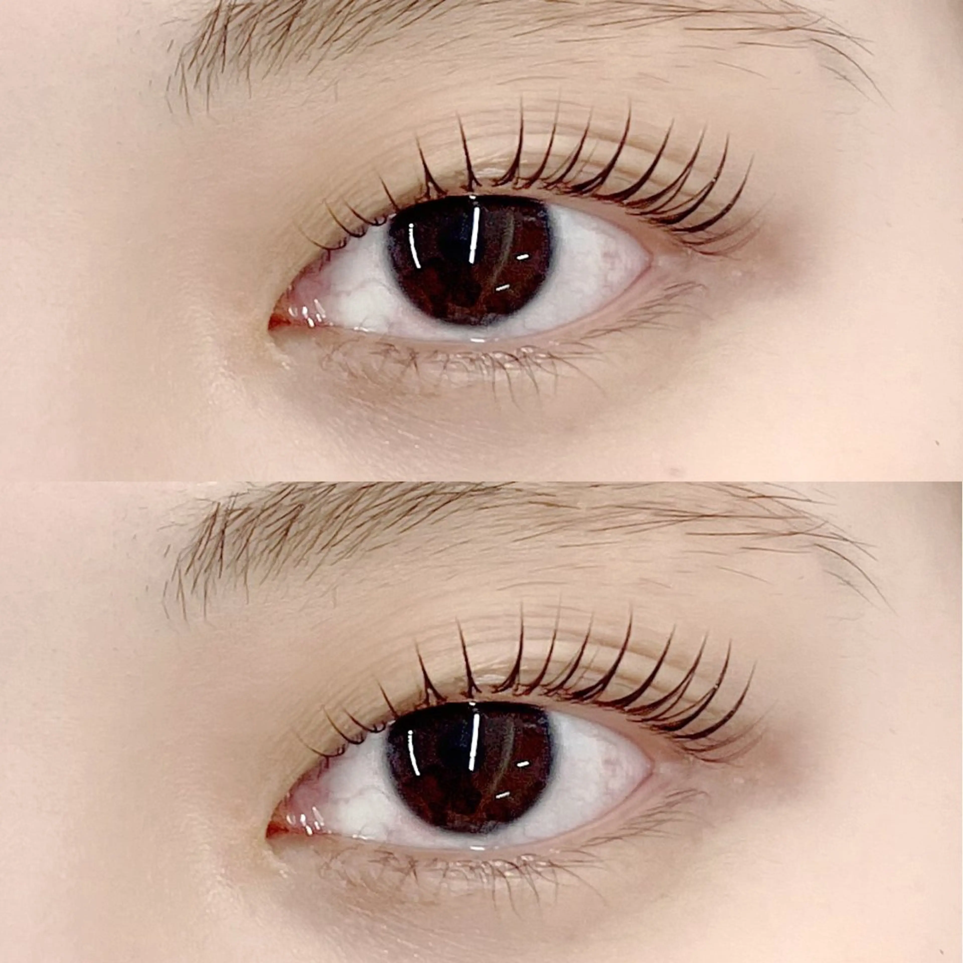 マツエク・マツパ まつげパーマ フジ ワラのマツエク・マツパデザイン