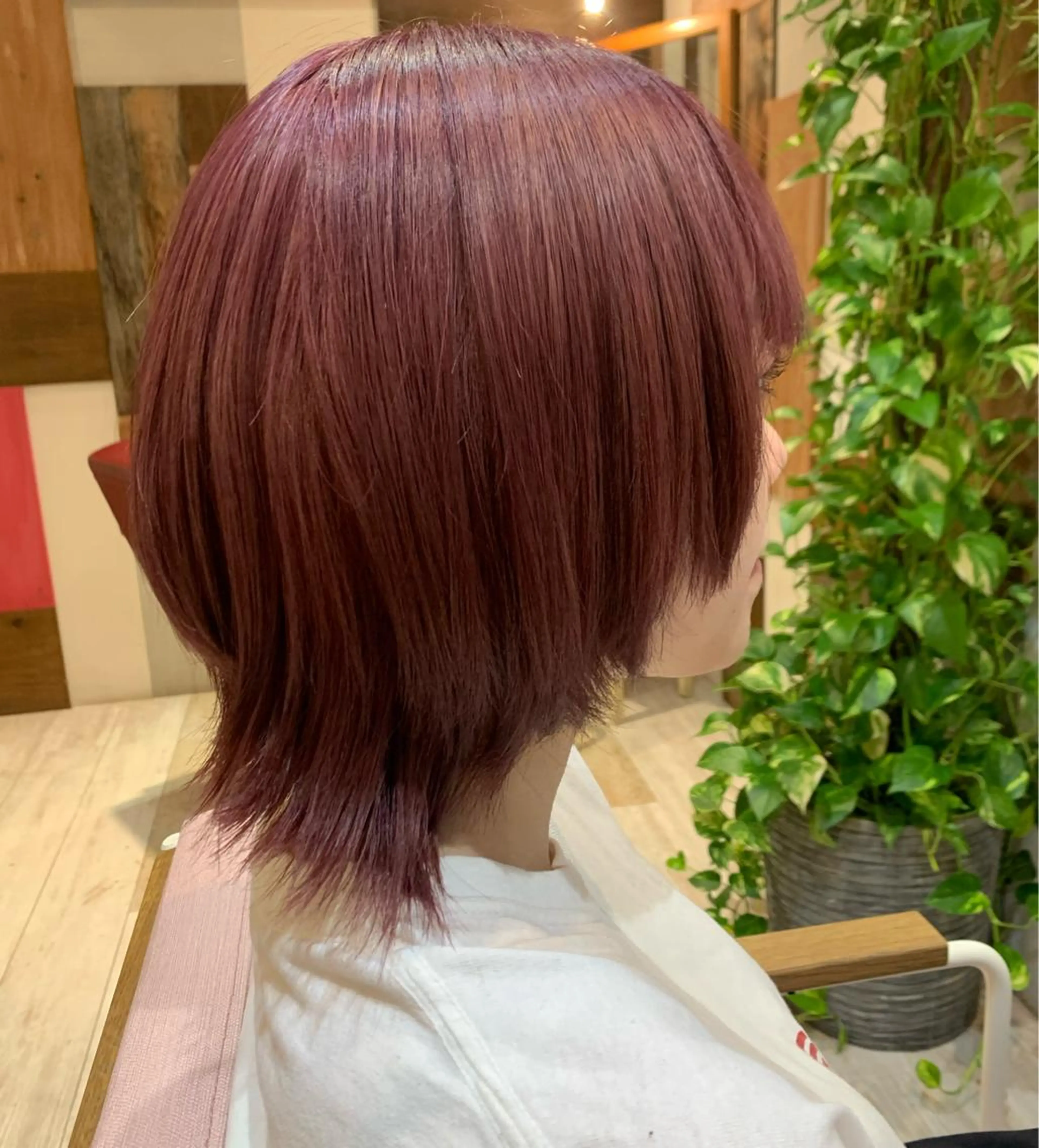 ショート カラー カシス ピンクカラー ショートヘア ウルフカット トキタ アオイのヘアスタイル