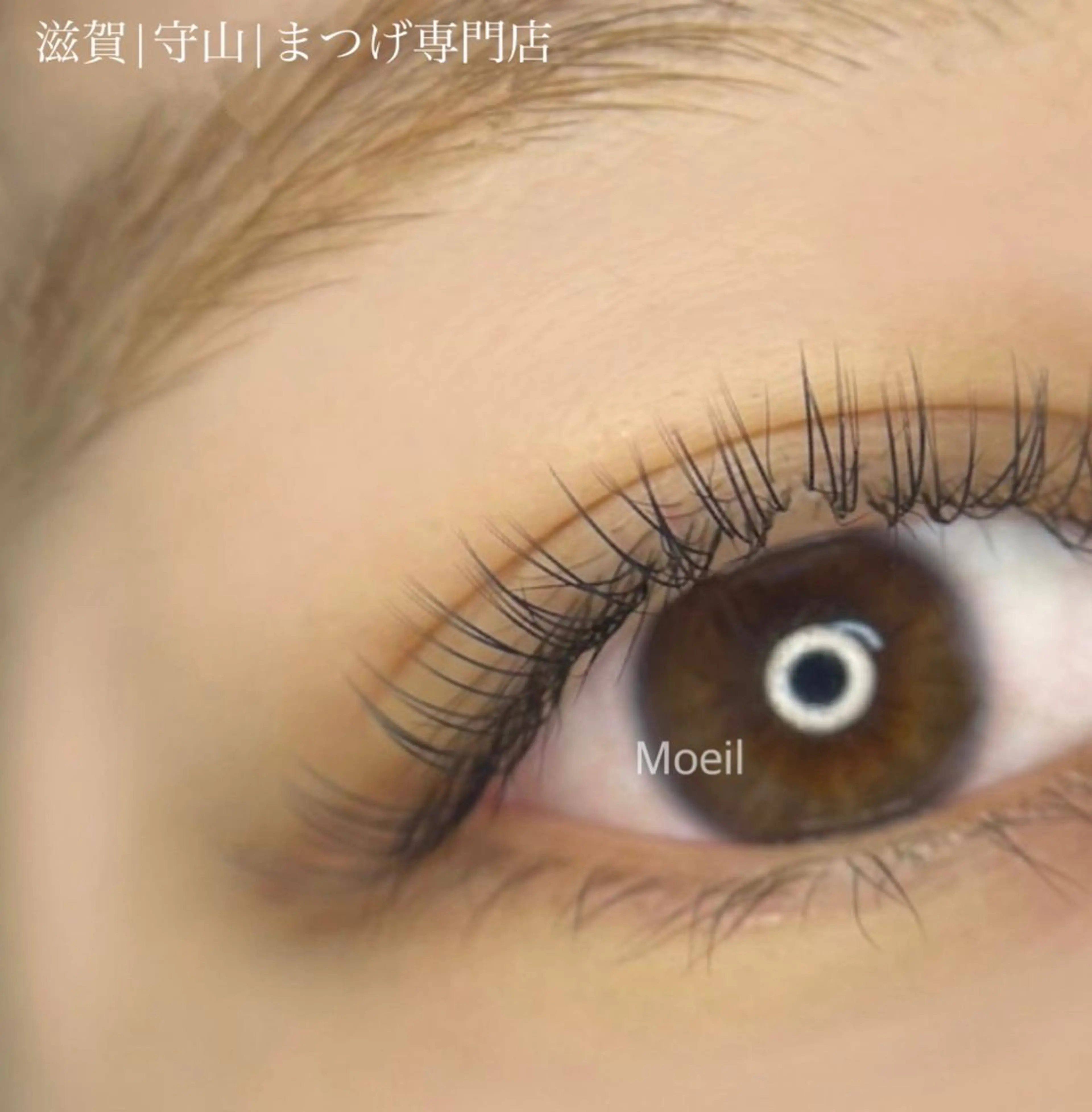 【オフ•コーティング付き】フラットラッシュ100本(カラー変更+550円)の写真