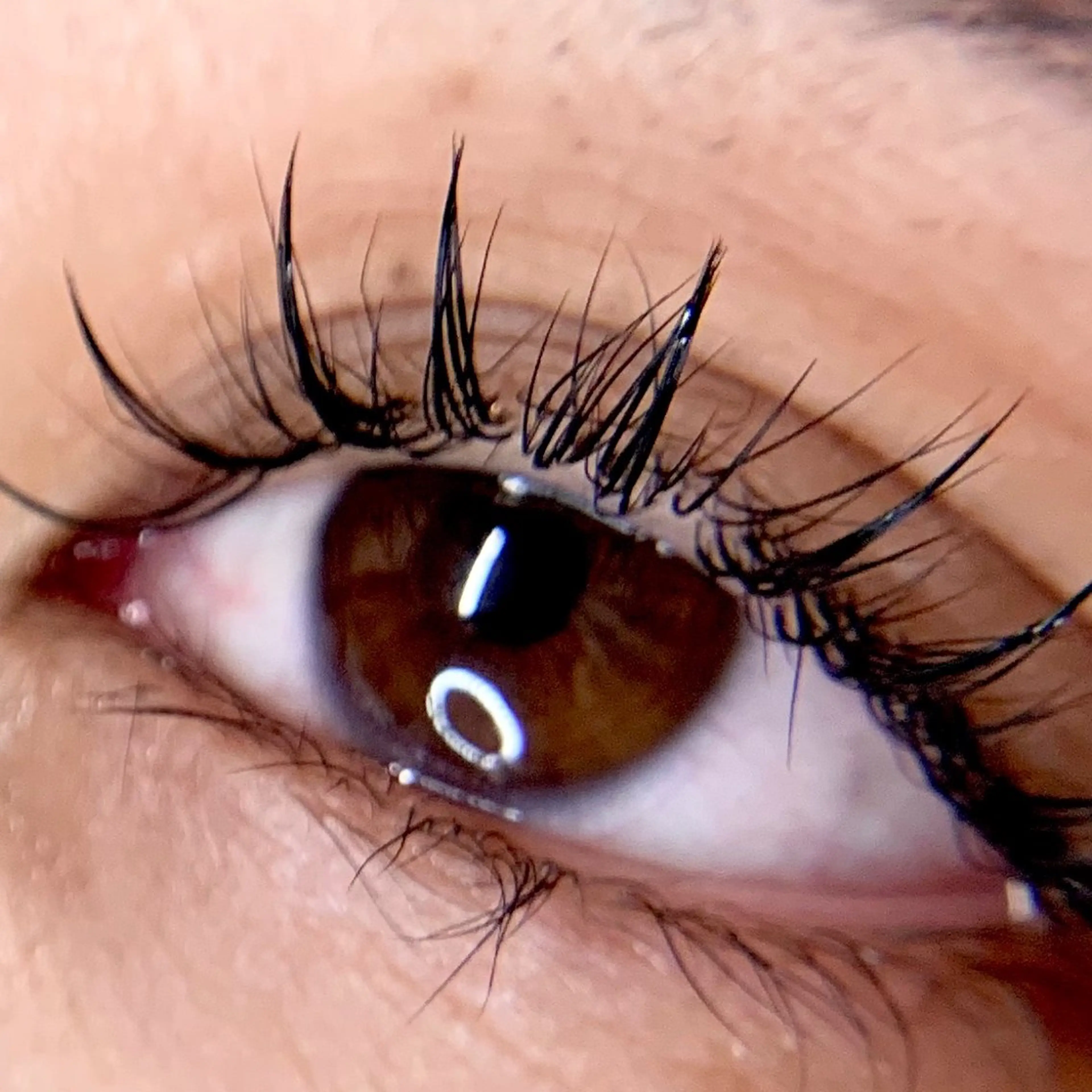 マツエク・マツパ フラットラッシュ iolo nakajimaのマツエク・マツパデザイン