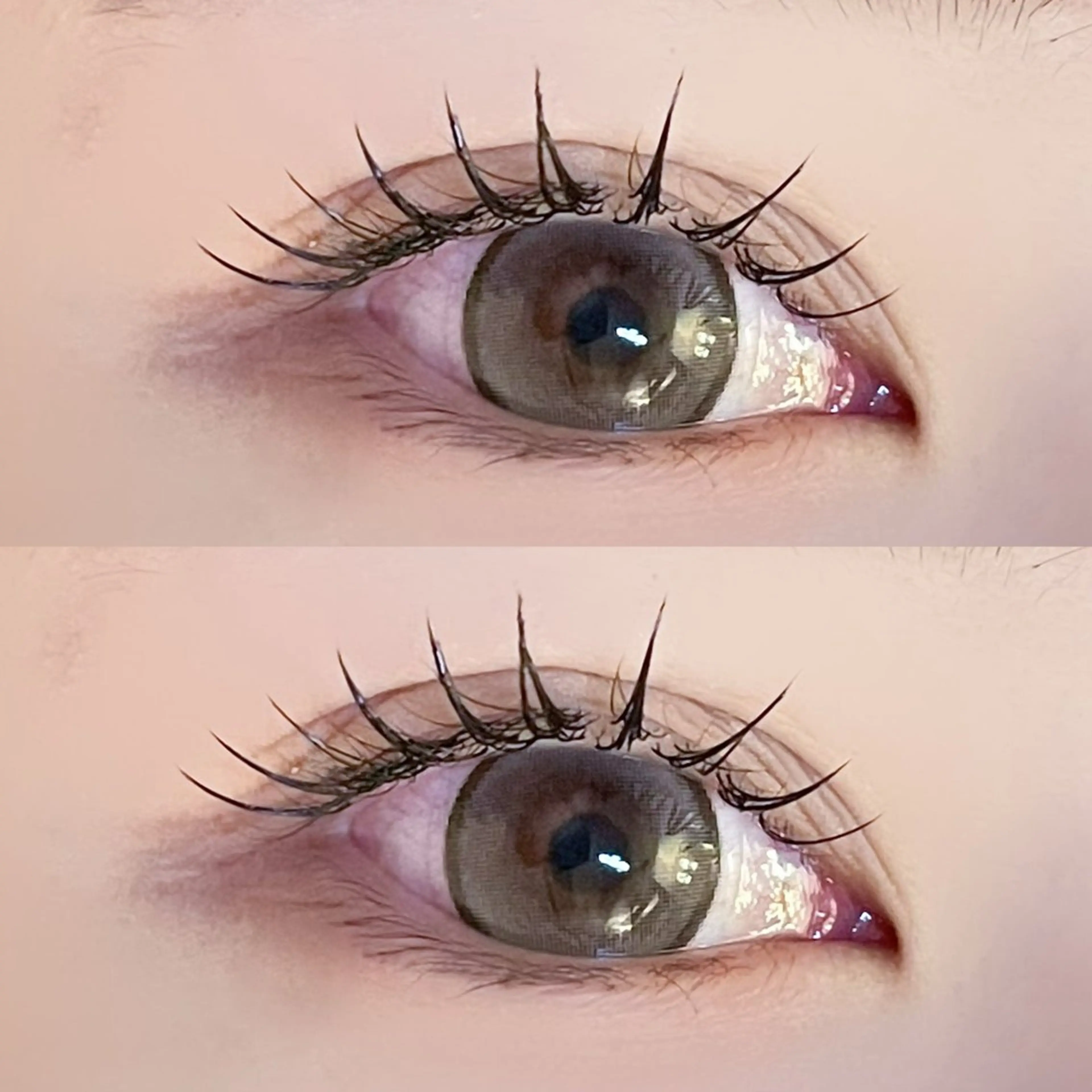 マツエク・マツパ マツエク Azuria恵比寿 🧸Maayaのマツエク・マツパデザイン