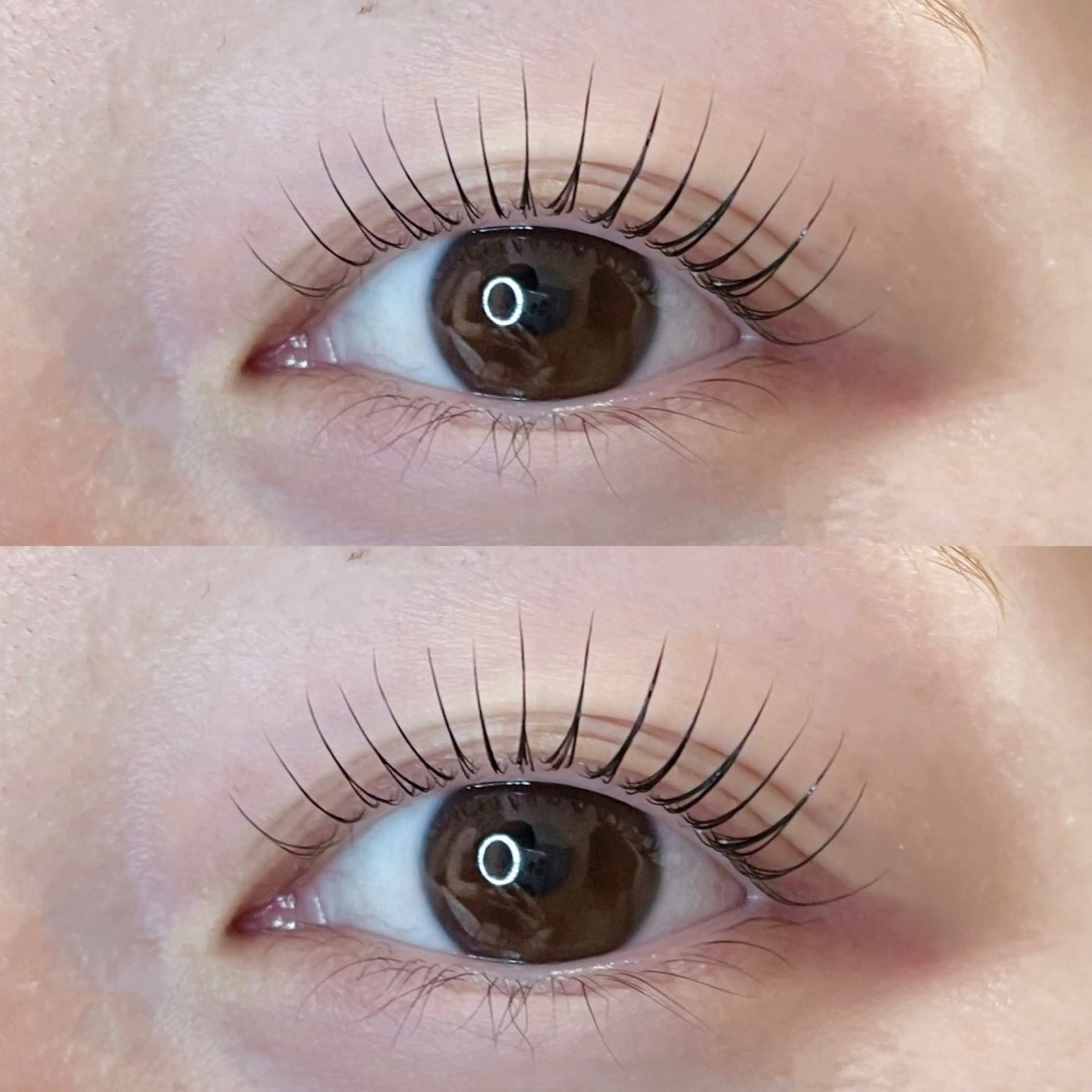 マツエク・マツパ Lupines ౨ৎ˖⊹ AISAのマツエク・マツパデザイン