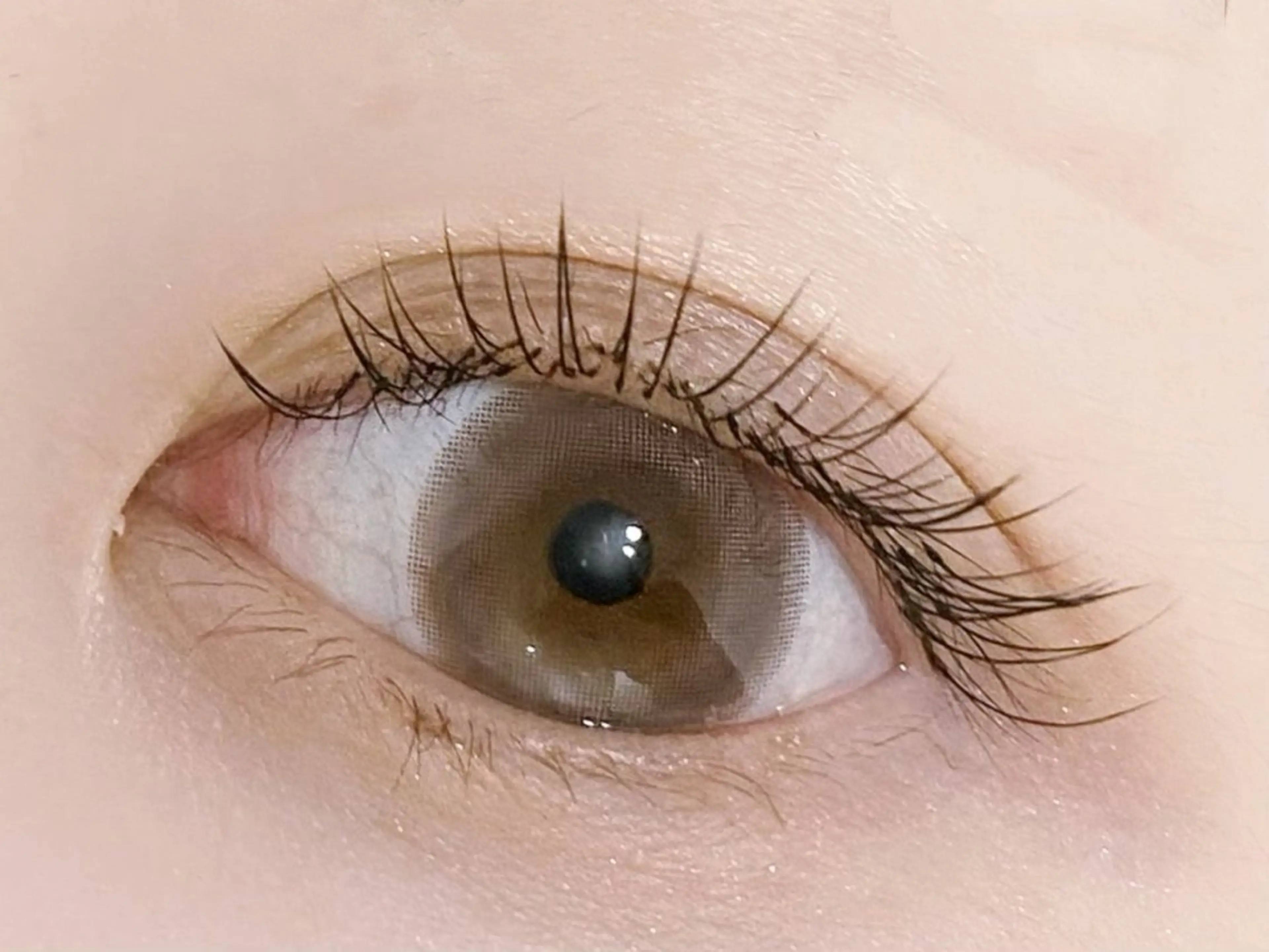 マツエク・マツパ フラットラッシュ マツエク 💎マツエク/眉毛 パリジェンヌ渋谷💎の眉毛・アイブロウイメージ