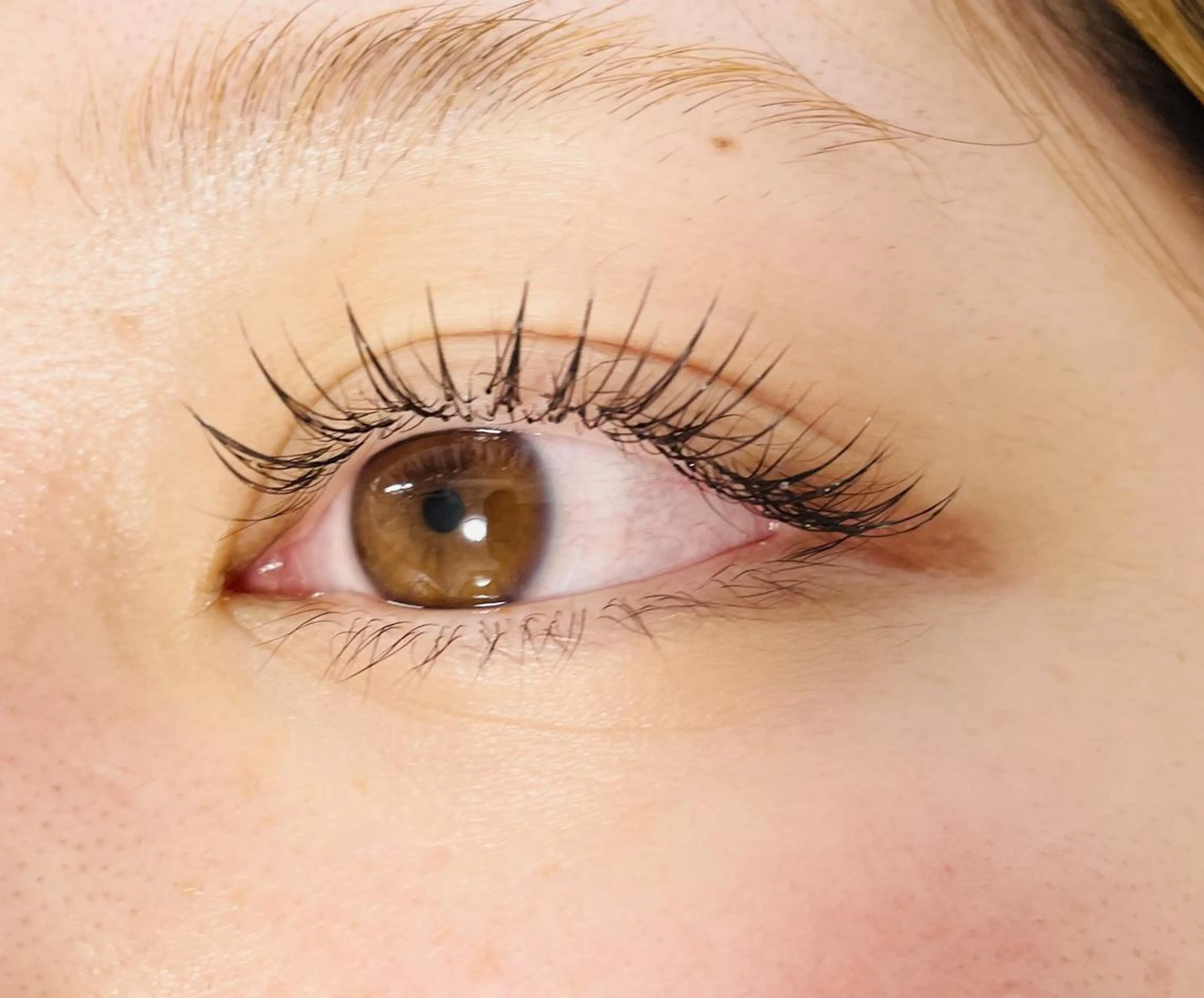 フラットラッシュ140本の写真