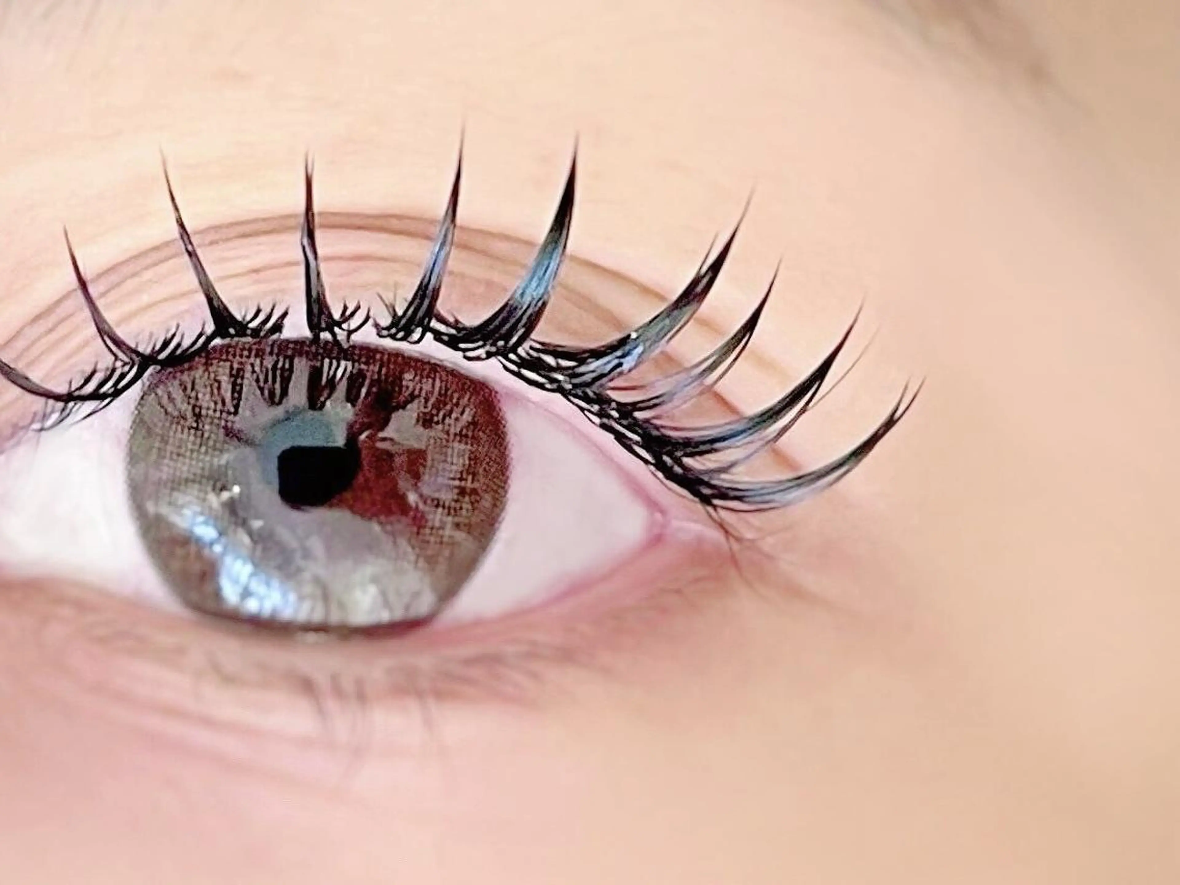 【オフ無し】最軽量🌟フラットラッシュ　140本（コーティング付💫）の写真