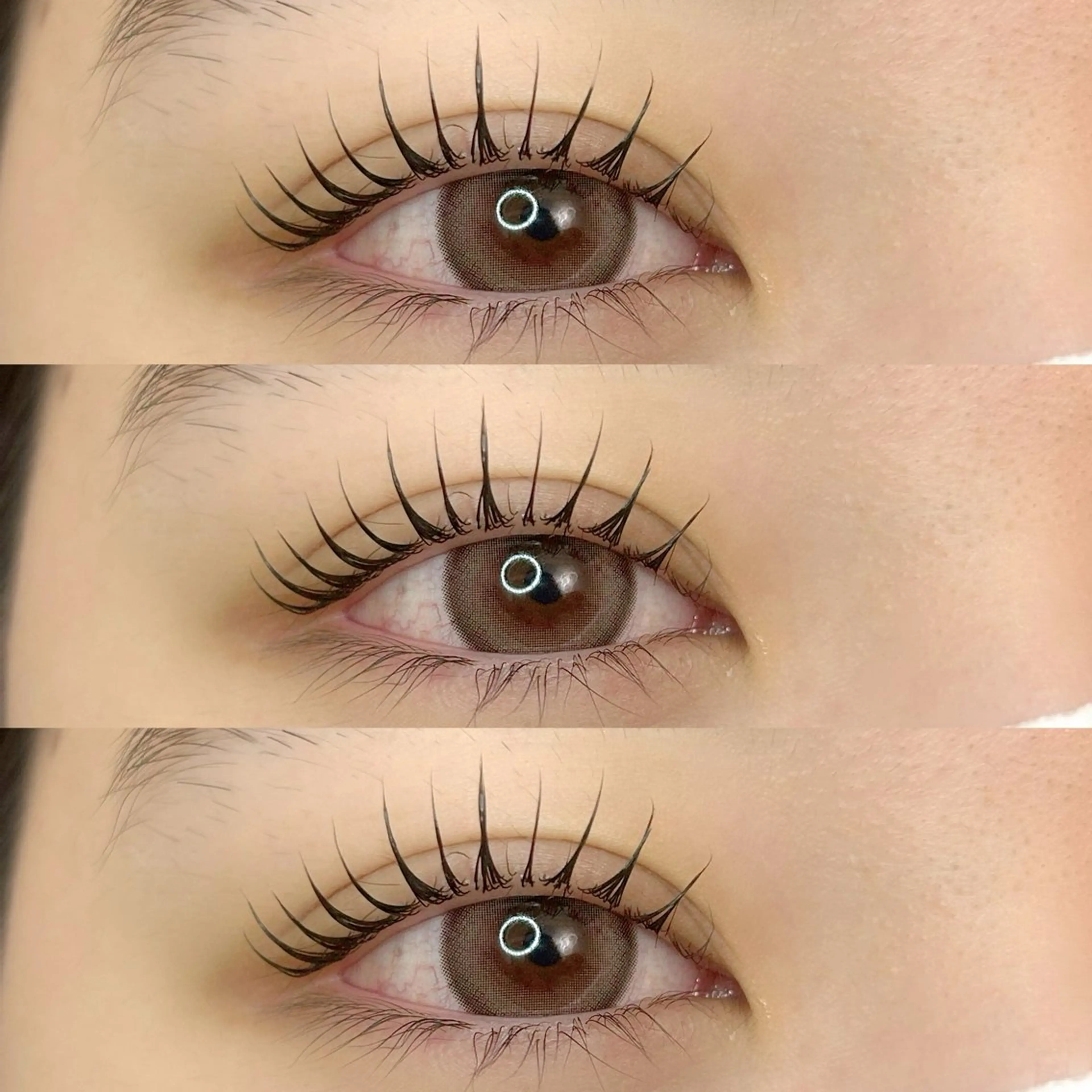 ［🤍4月12.13.19日限定🤍］まつ毛パーマ&アイブロウワックスの写真