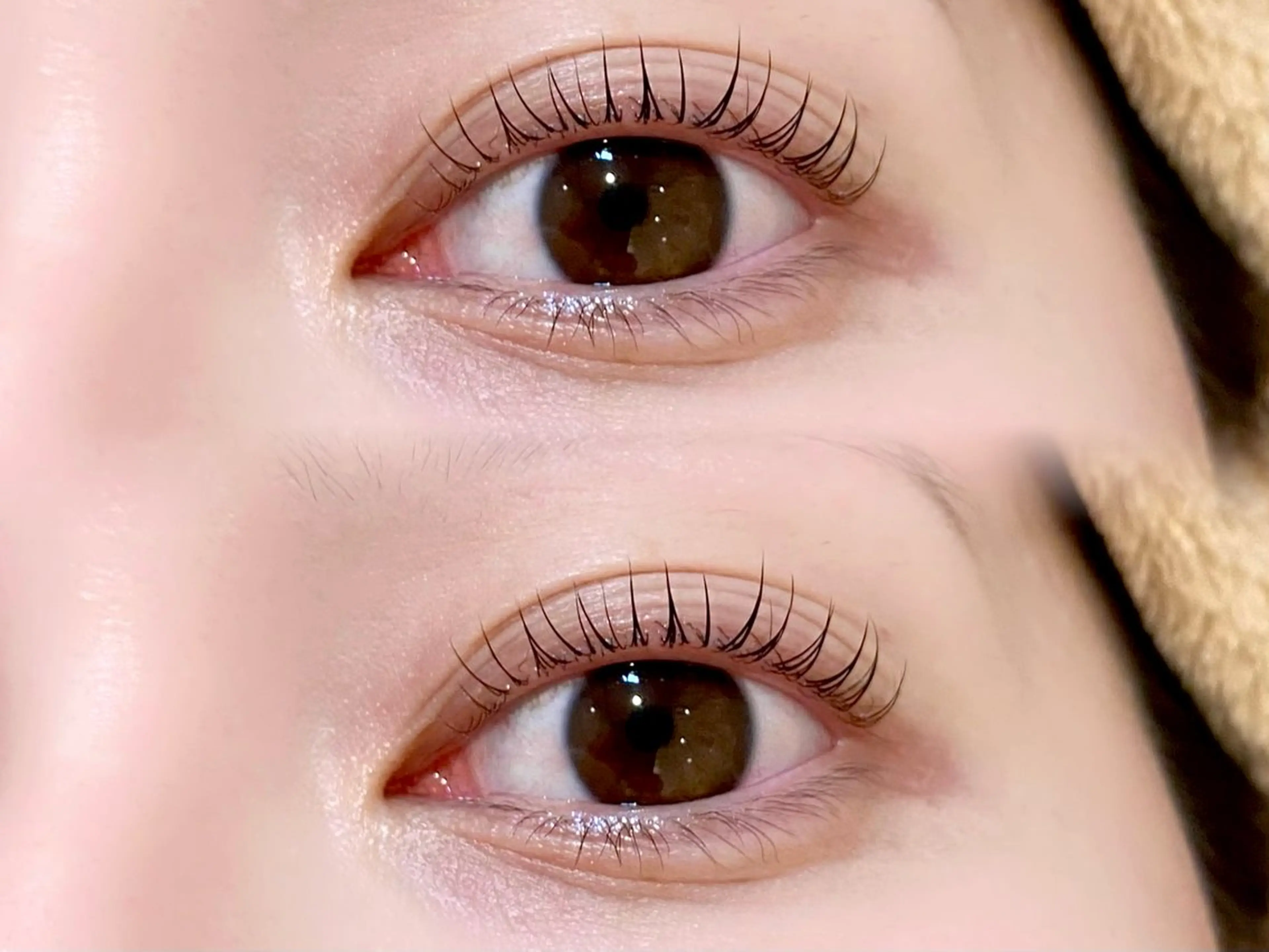 LEDマツエク(80本)🫧✨研修モデル4/21 13:30/14:45/16:00🩵の写真