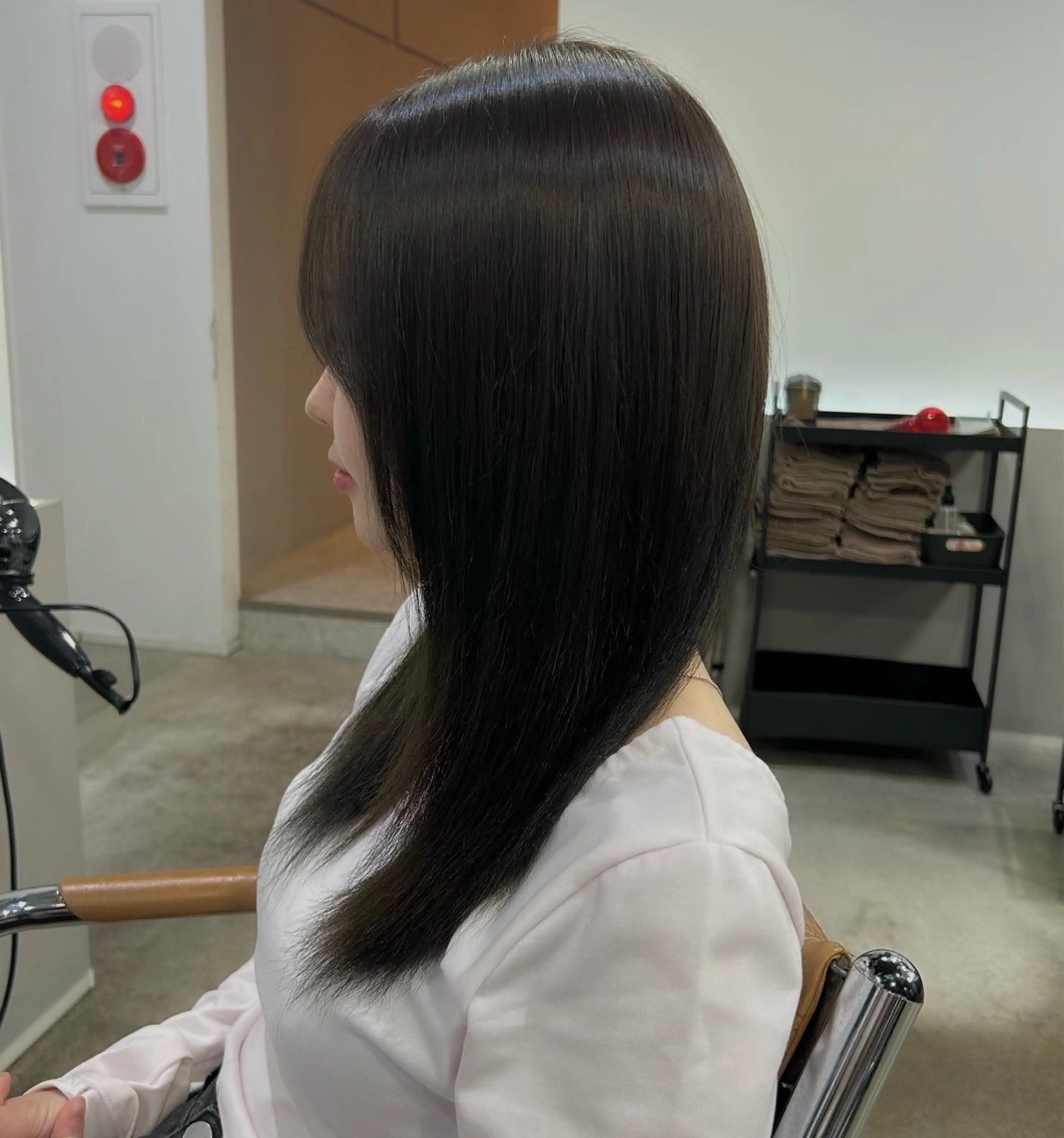 セミロング カラー 🧣艶カラー・ヘア セット Chie🧸のヘアスタイル