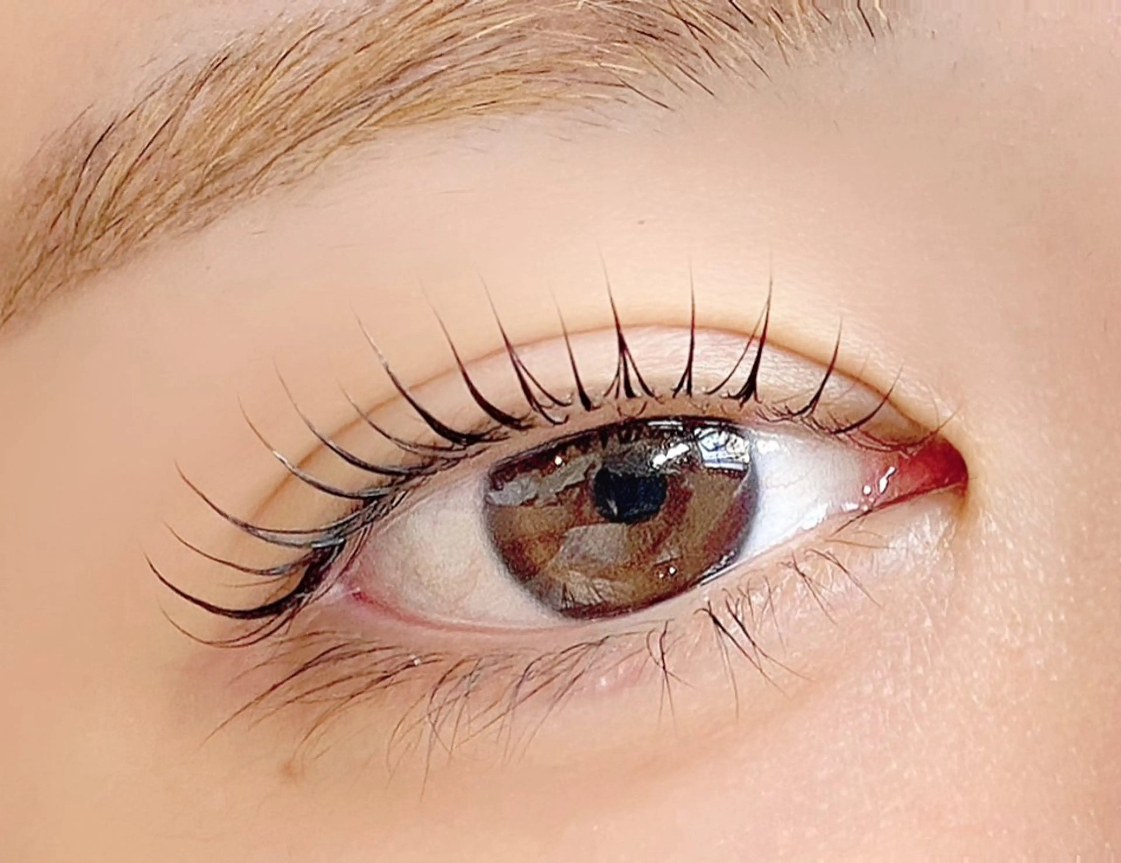 マツエク・マツパ マツパ tomte トムテのマツエク・マツパデザイン