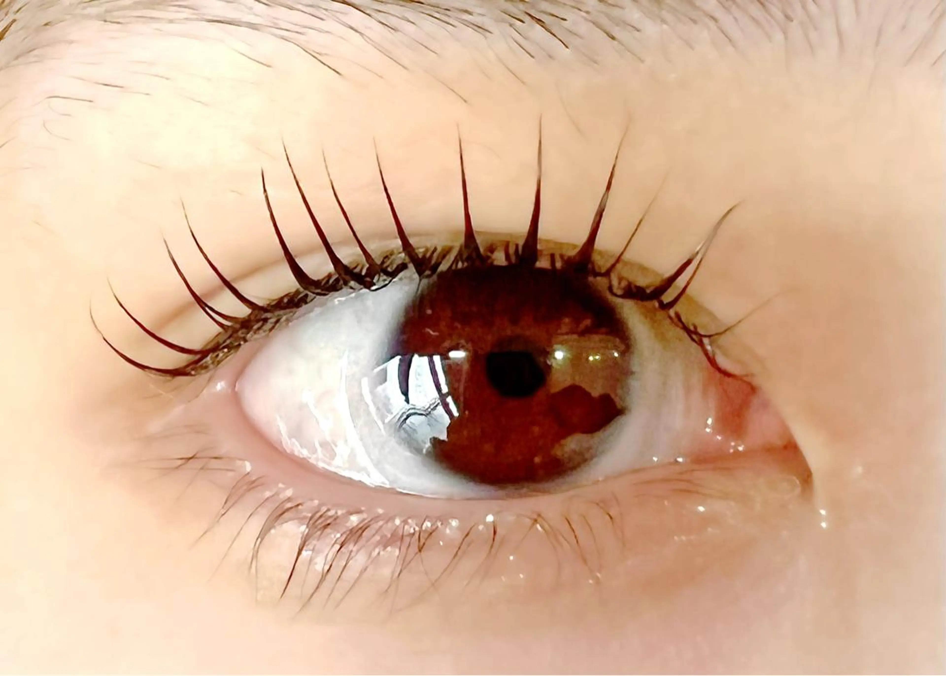 マツエク・マツパ 🧸Celeste Venusのマツエク・マツパデザイン