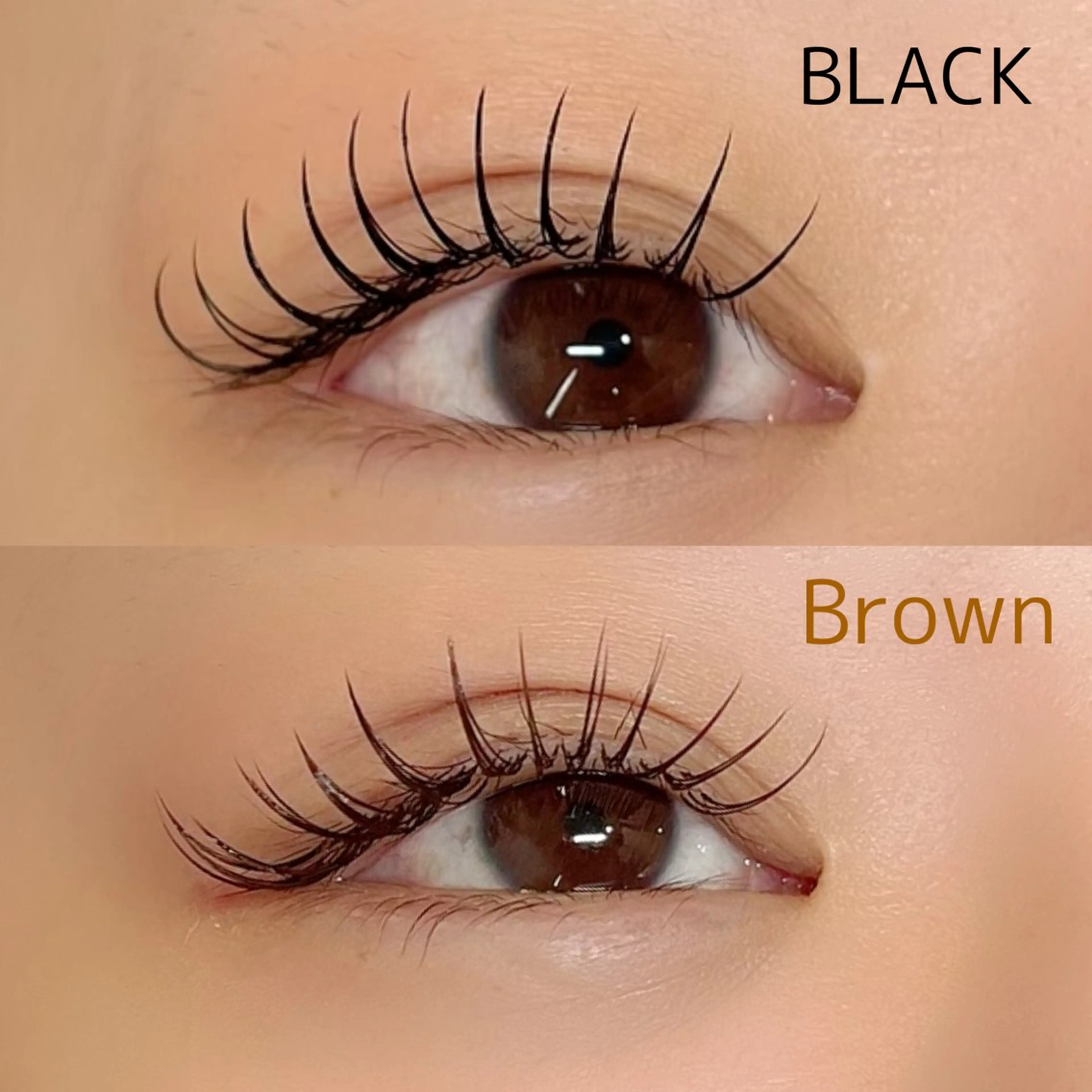 マツエク・マツパ マツエク _WHITE 南海難波店のマツエク・マツパデザイン