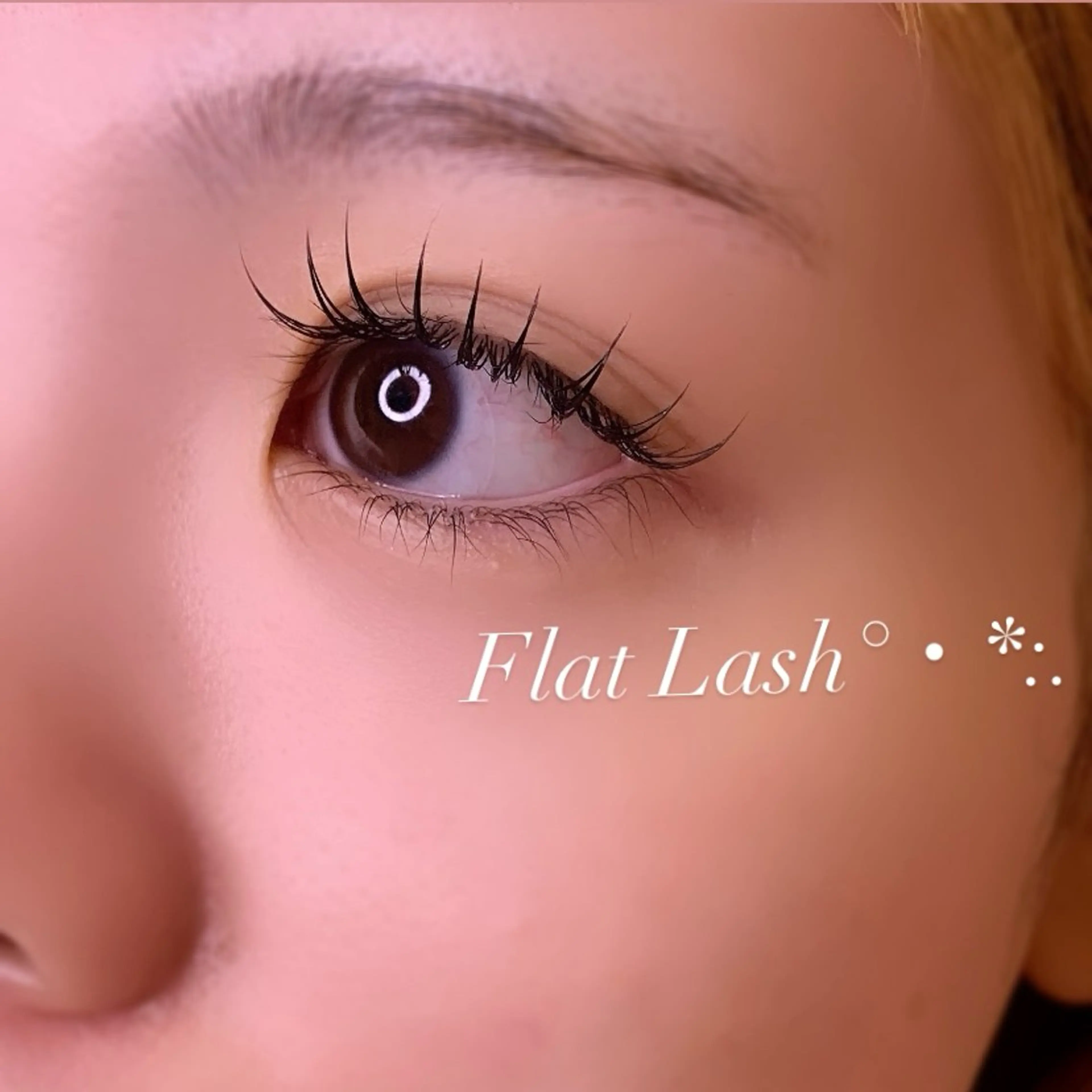 マツエク・マツパ Cカール フラットラッシュ マツエク Ayumi.pro 🍆N《4階》のマツエク・マツパデザイン