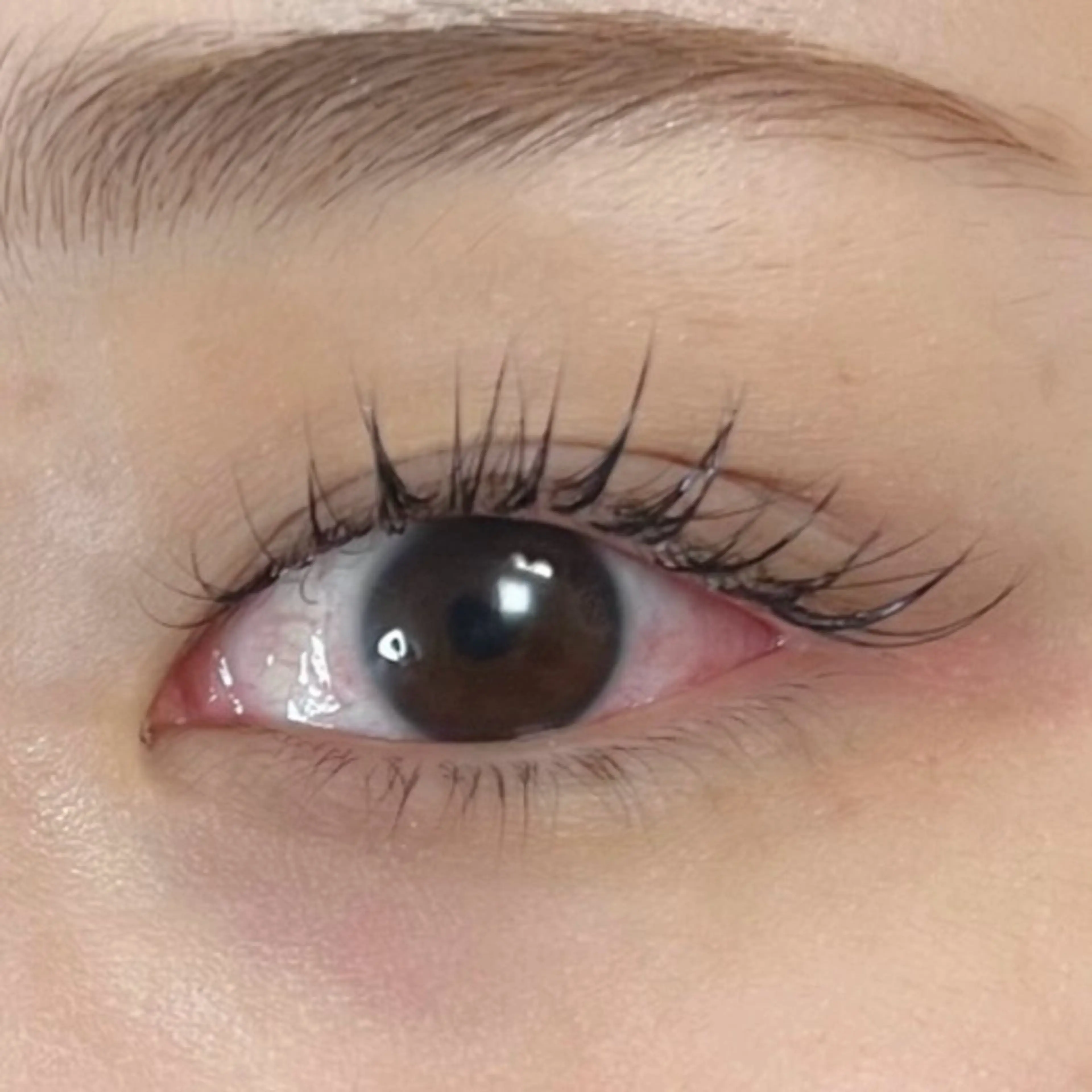 マツエク・マツパ フラットラッシュ ナチュラル マツエク Moe/韓国風/ 束感/キュート❤︎の眉毛・アイブロウイメージ