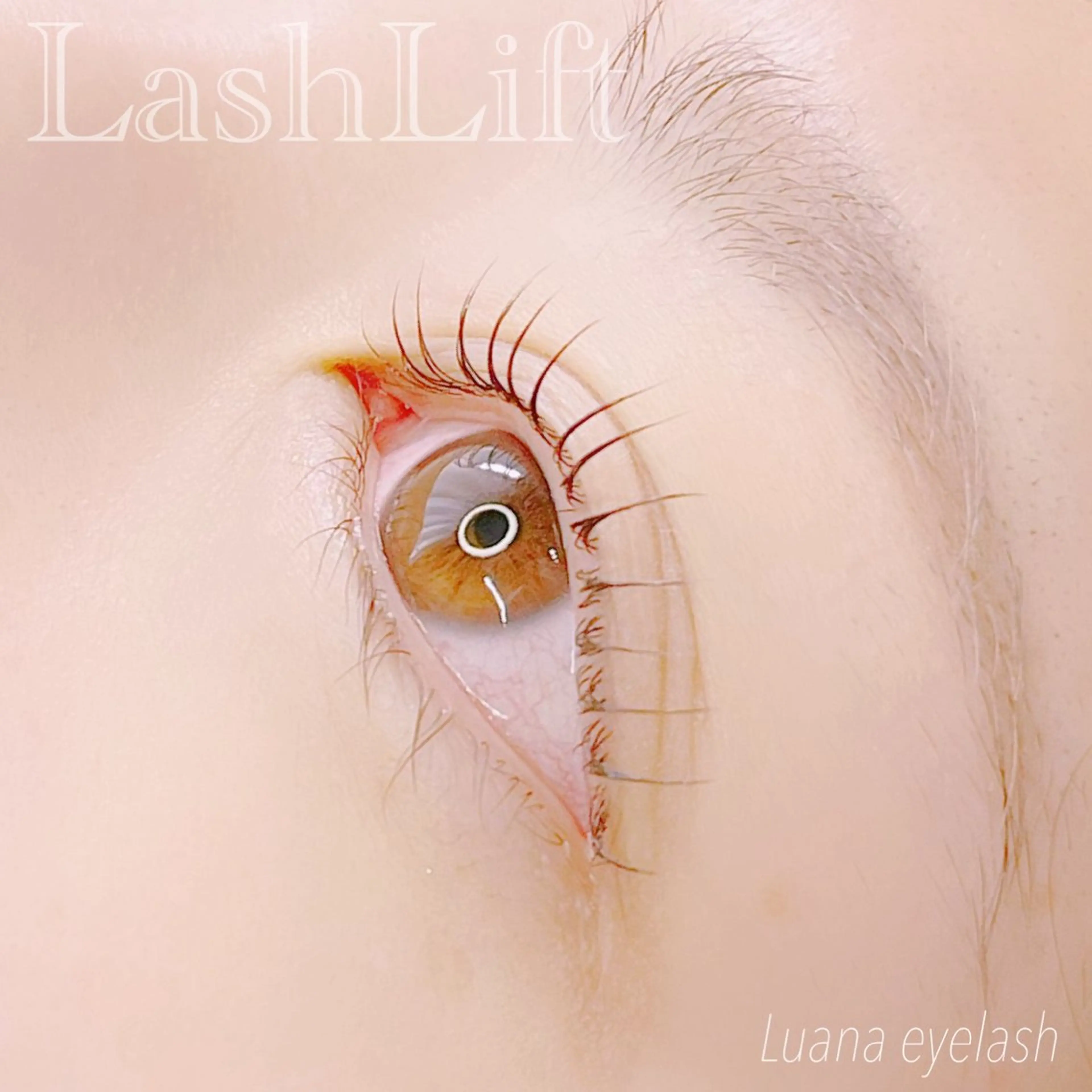 マツエク・マツパ マツパ Luana eyelashのマツエク・マツパデザイン