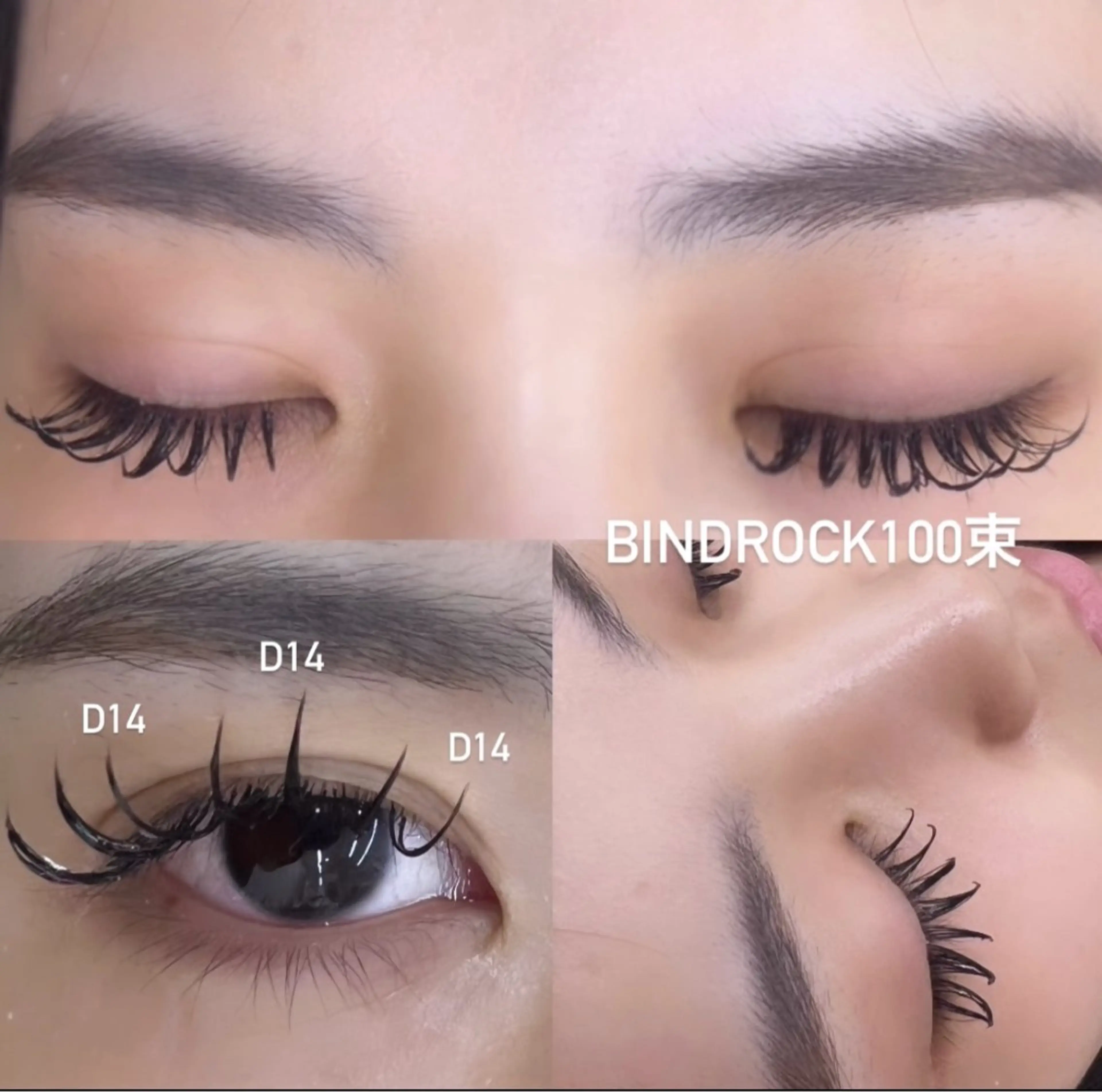 バインドロック100束の写真