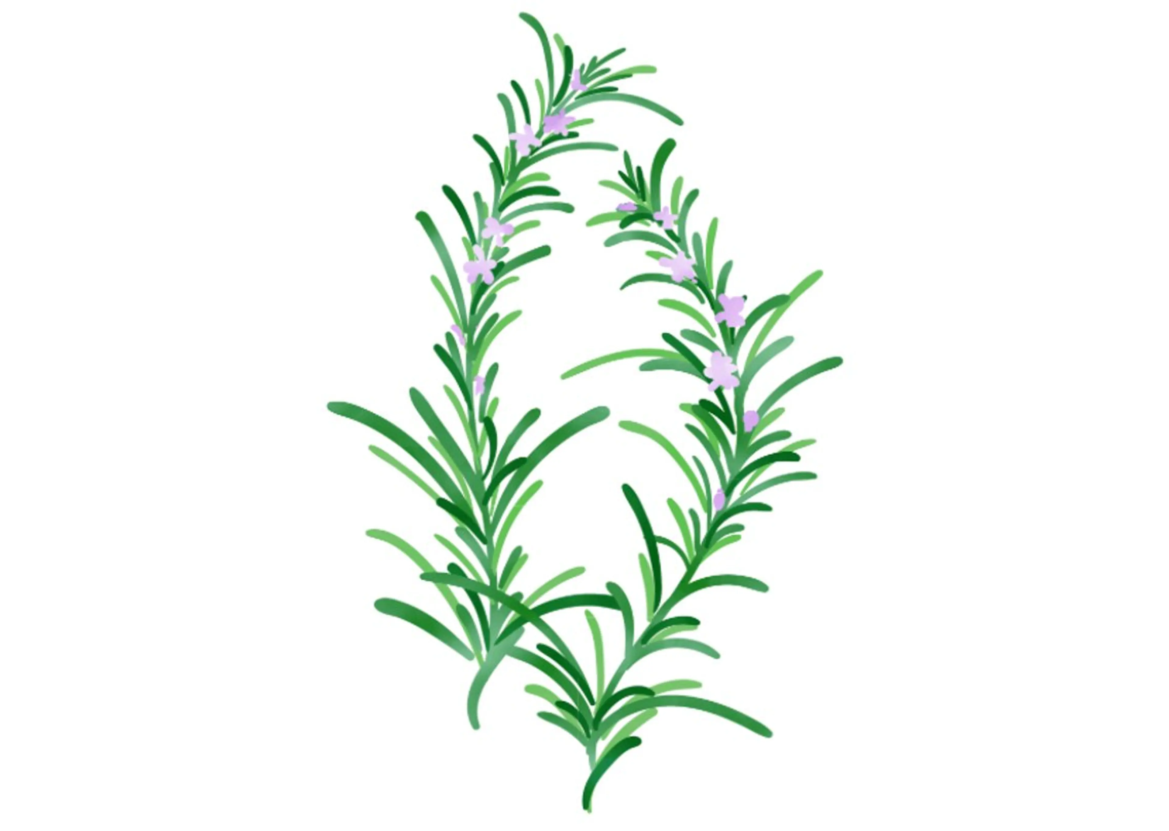 岩崎 .のエステ・リラクイメージ