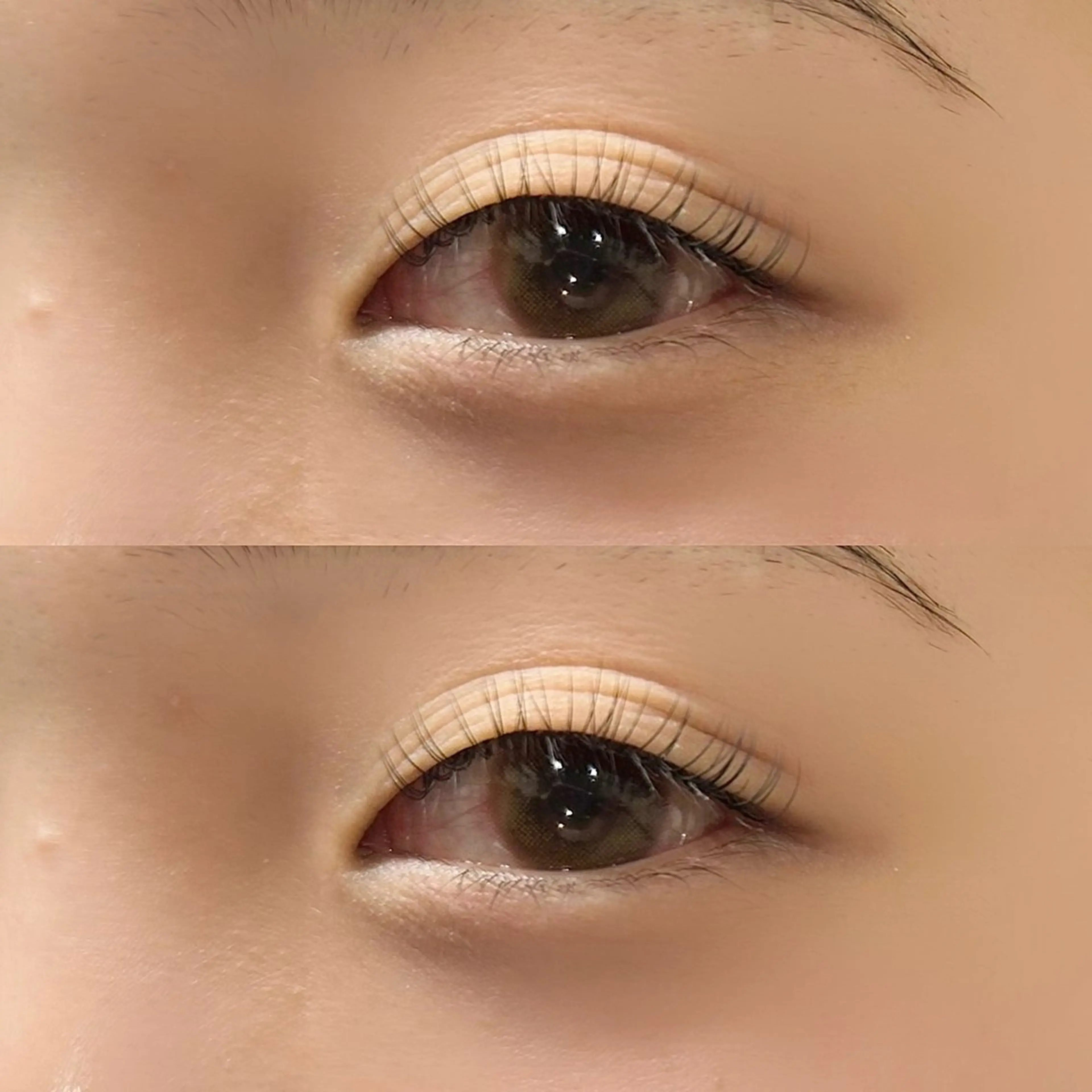 【火曜～金曜限定】他店オフ込み☆セーブル  80本の写真