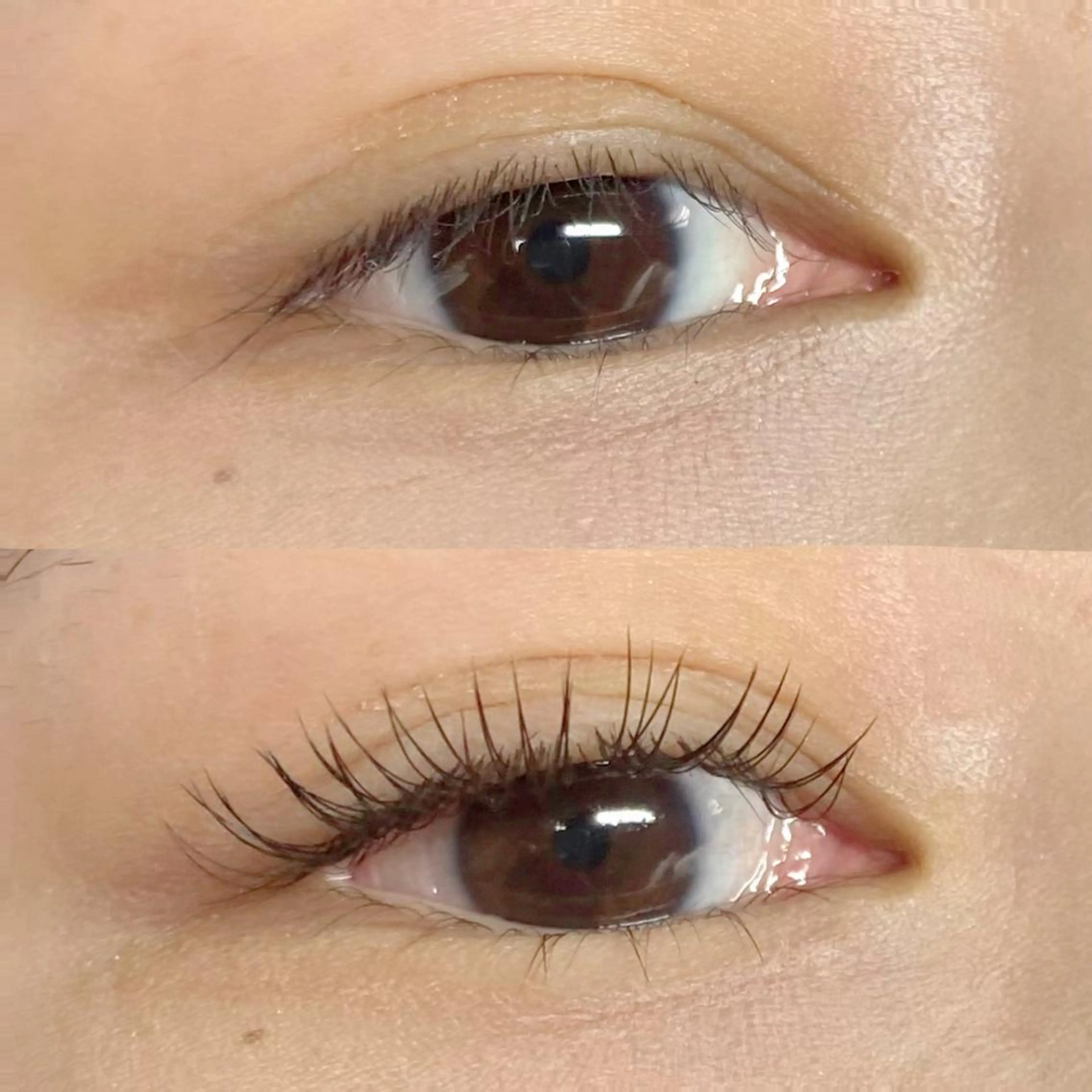 マツエク・マツパ CITRON ⭐︎のマツエク・マツパデザイン