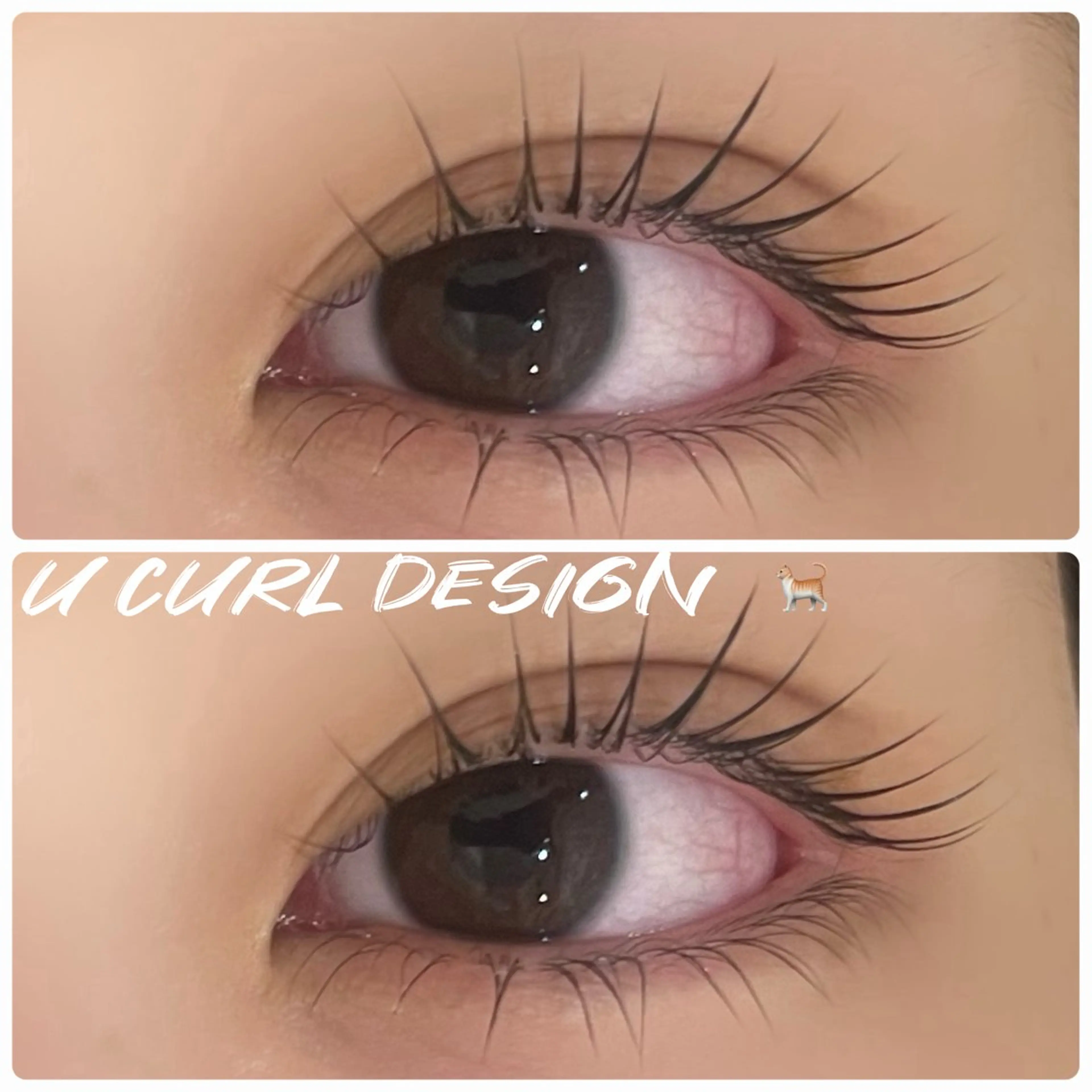 マツエク・マツパ マツパ 🐈MaaZlash 南流山AYANO🫧のマツエク・マツパデザイン