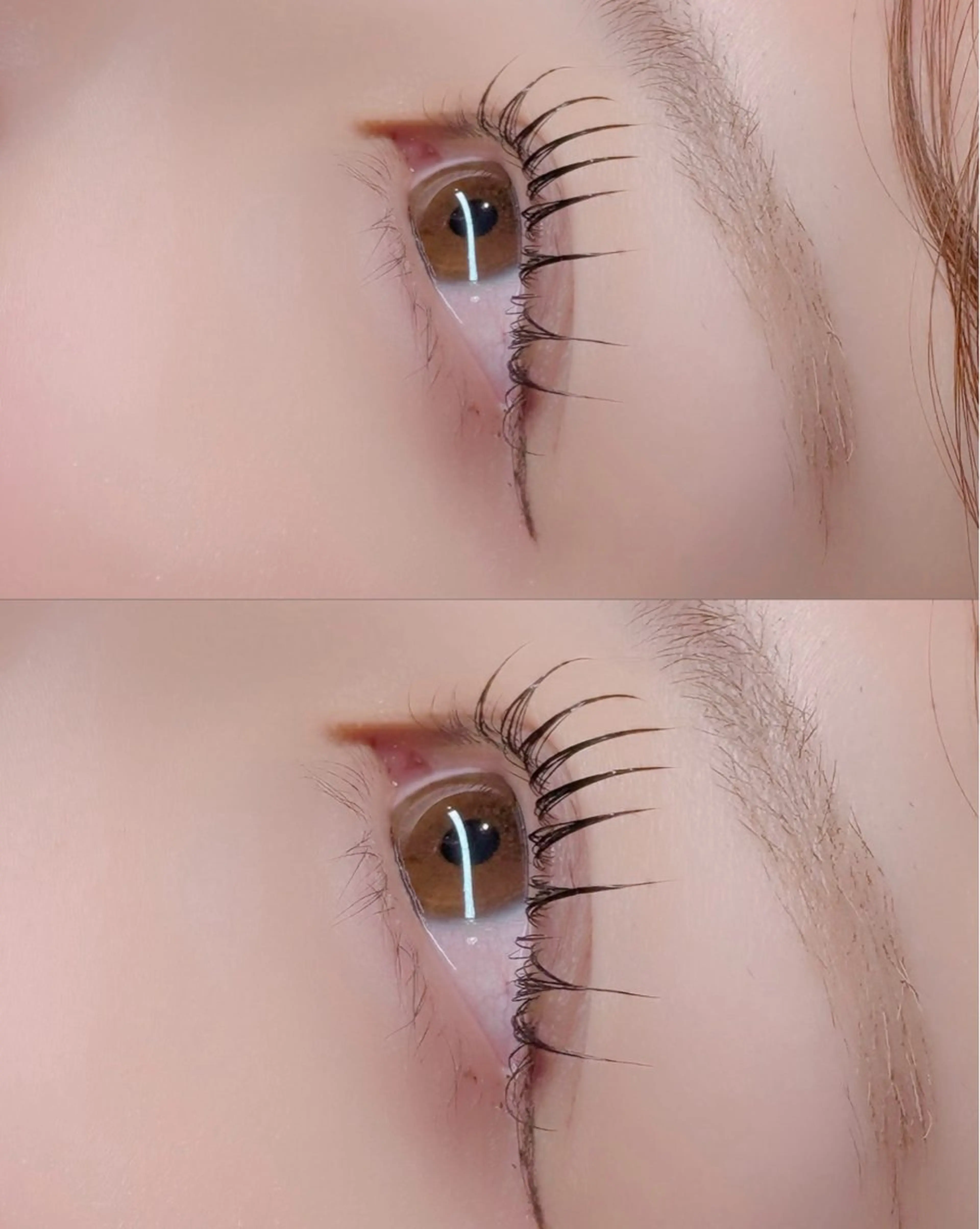 パーマ マツパ north pole 三条のマツエク・マツパデザイン