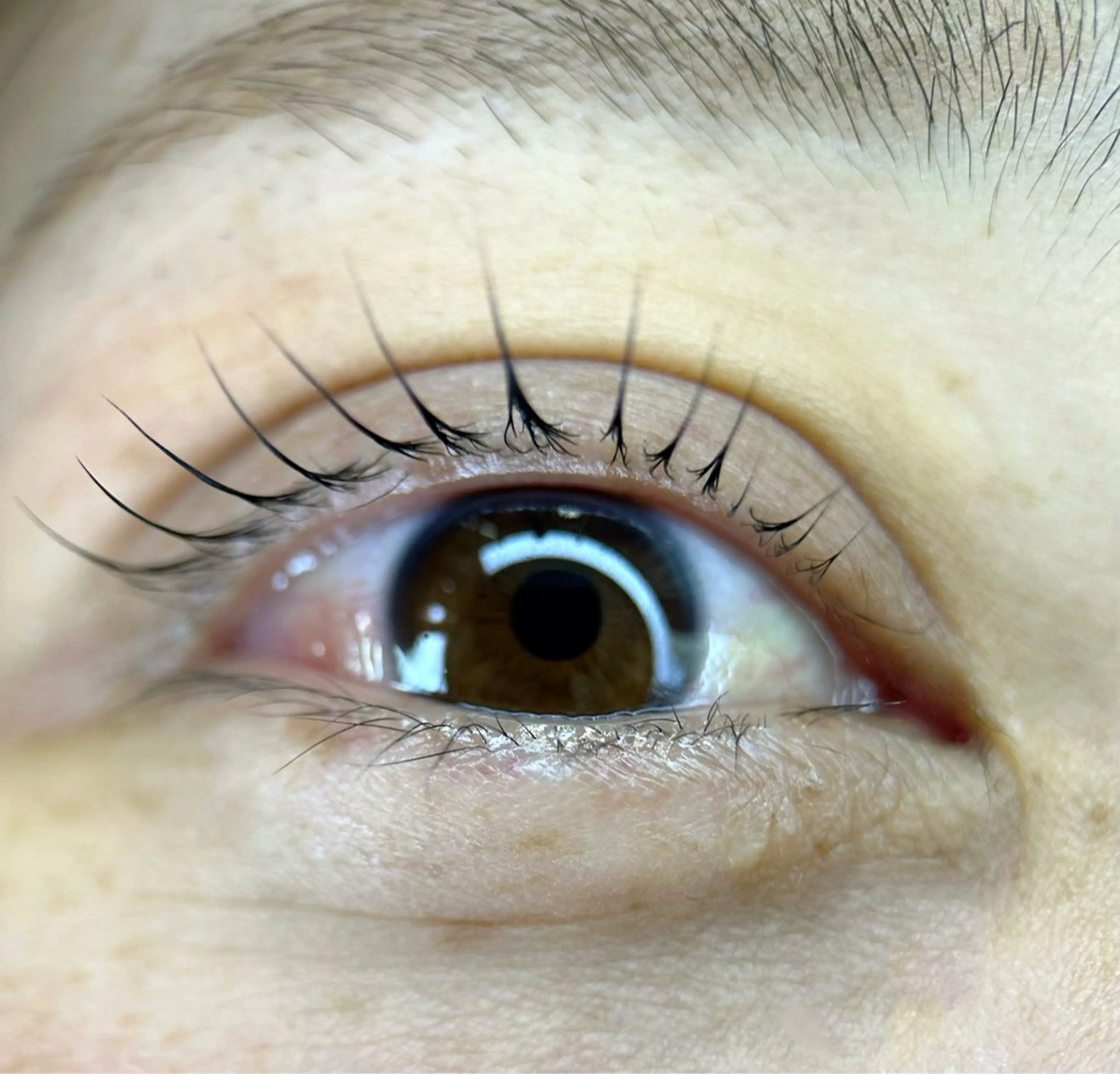 マツエク・マツパ c-room eye salonのマツエク・マツパデザイン