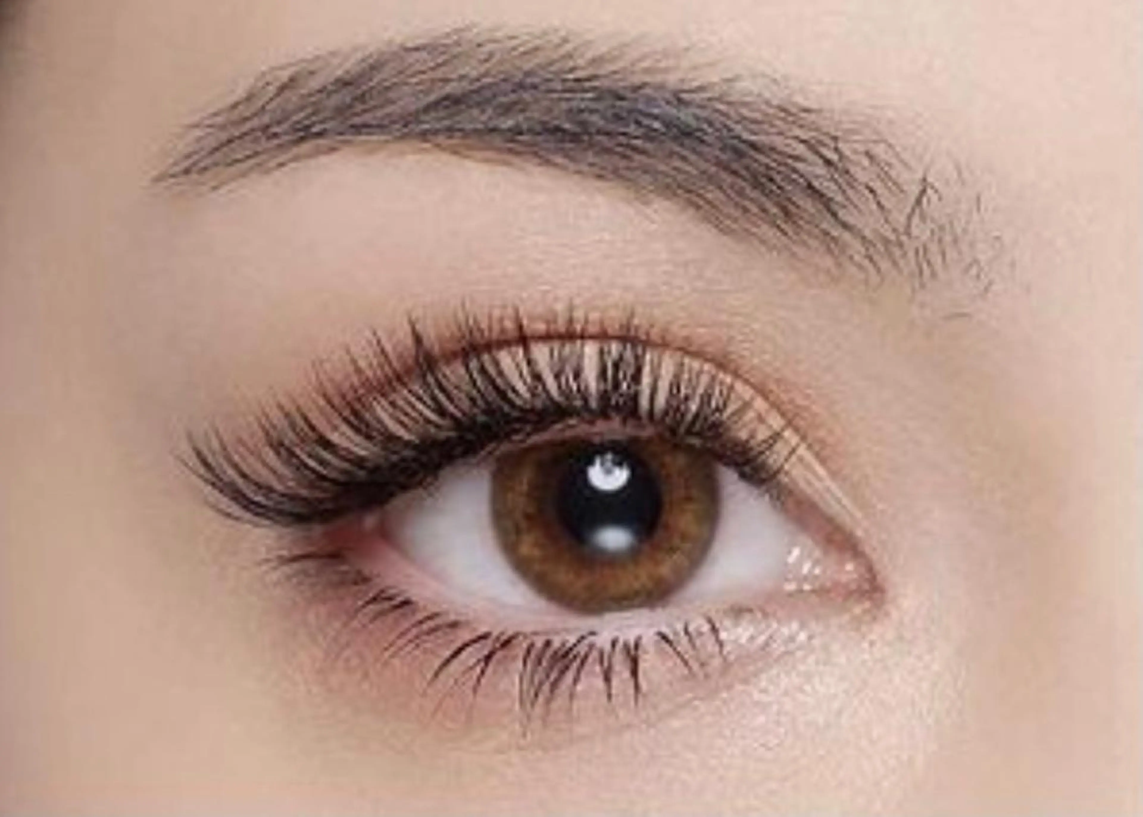 ご新規様特別価格✴︎ボリューム·持続性重視の方◎話題のバインドロック　両目140束の写真