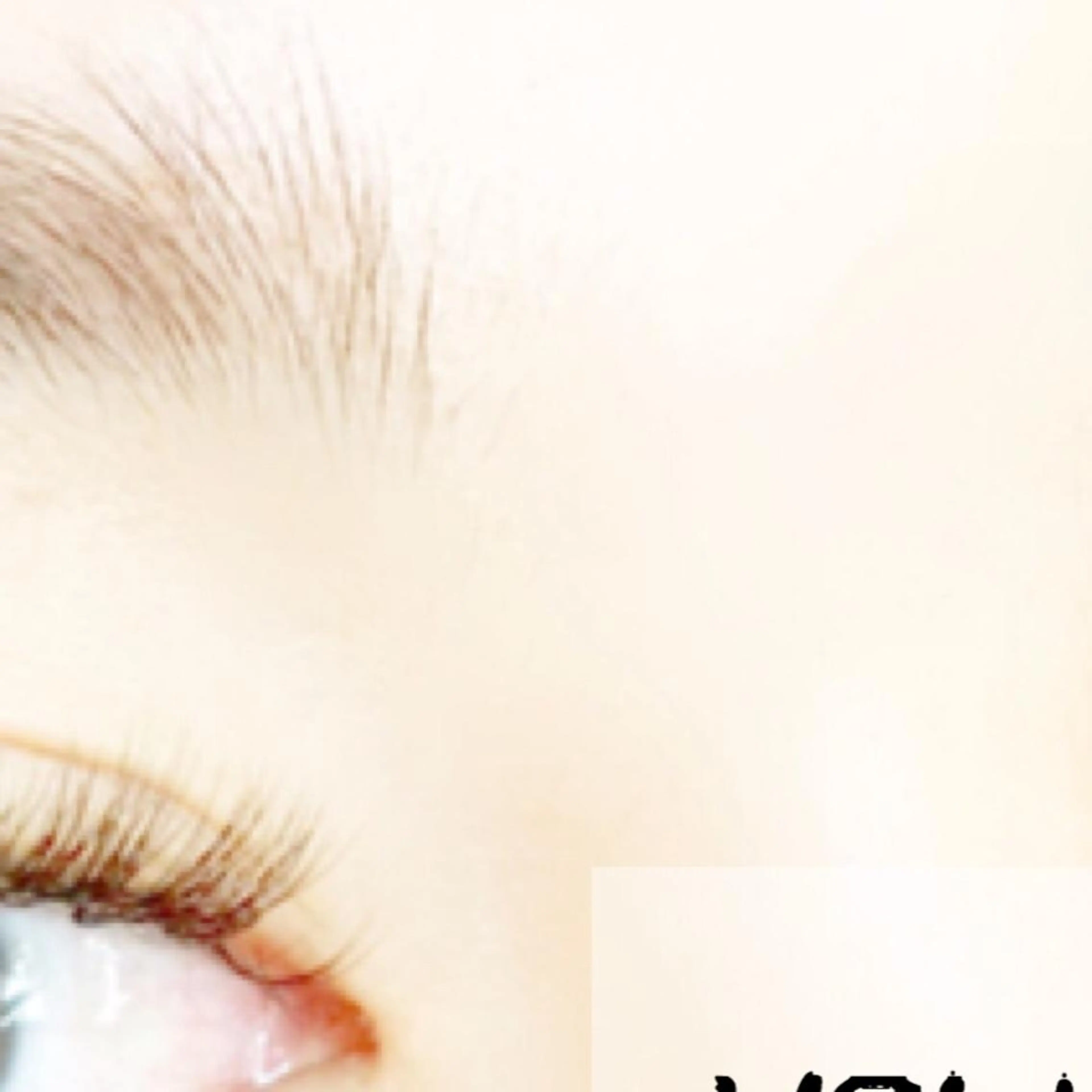 マツエク・マツパ eyelash- r🌹の眉毛・アイブロウイメージ